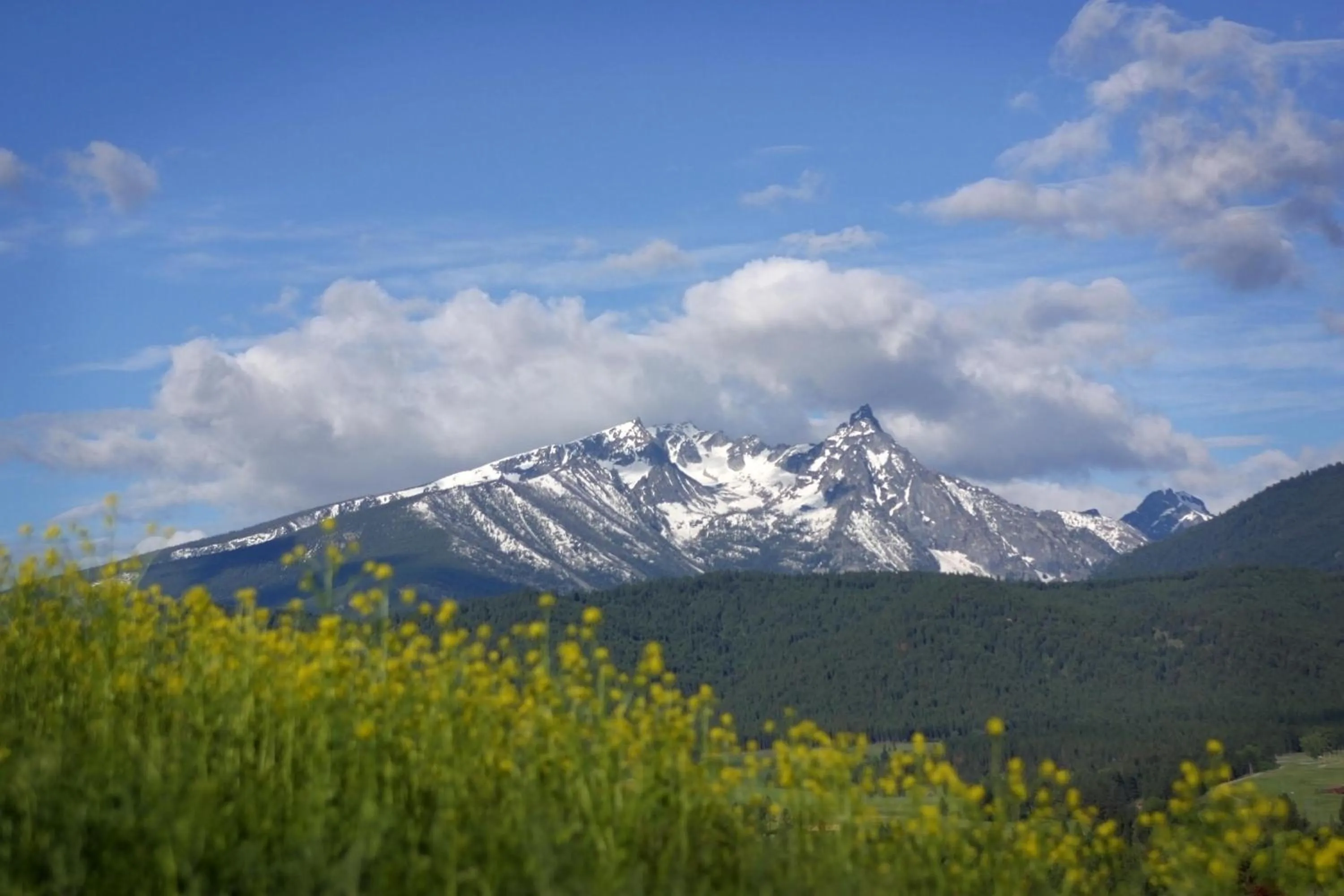 Natural landscape in Rye Creek Lodge
