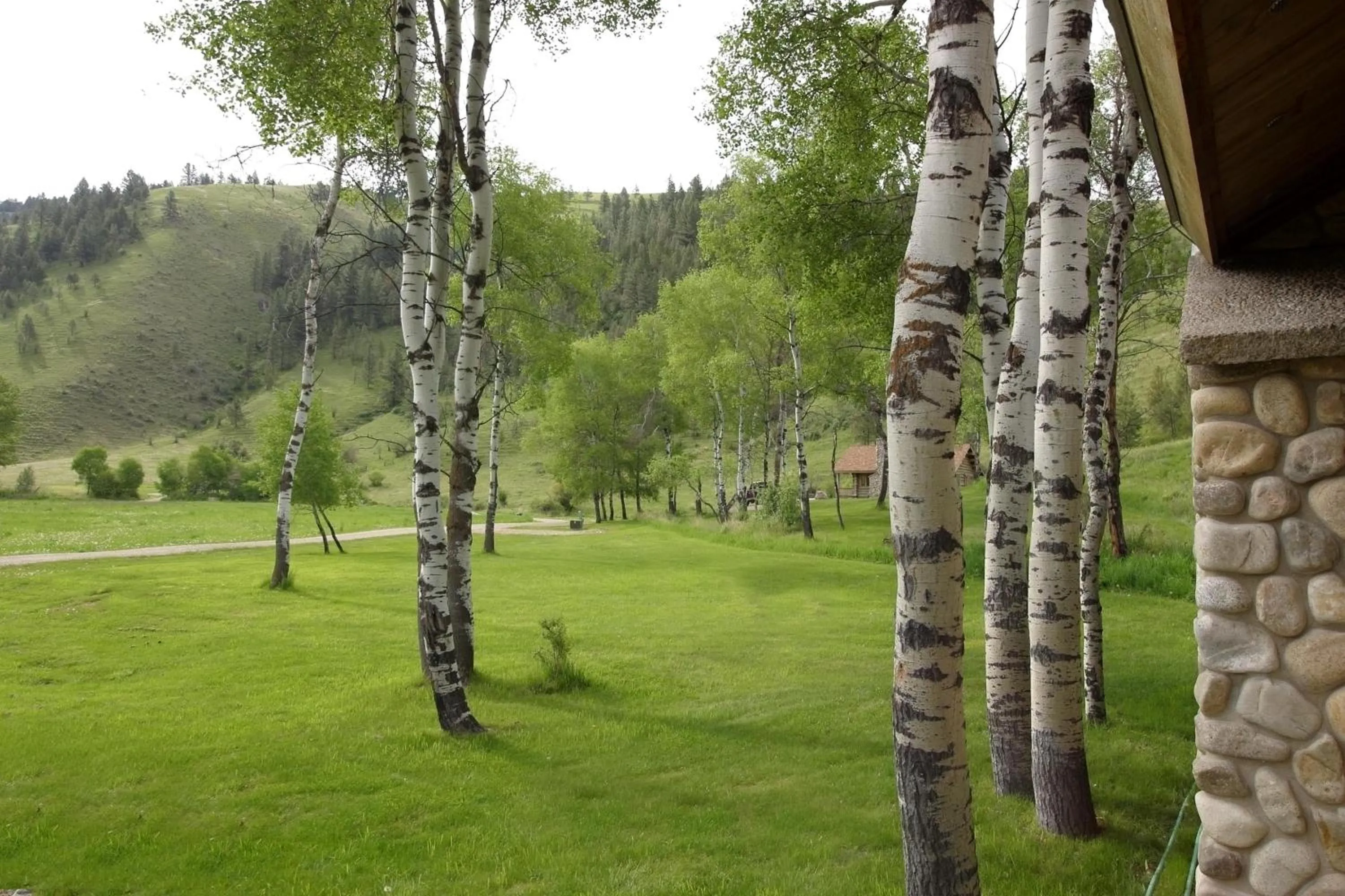 Mountain view in Rye Creek Lodge