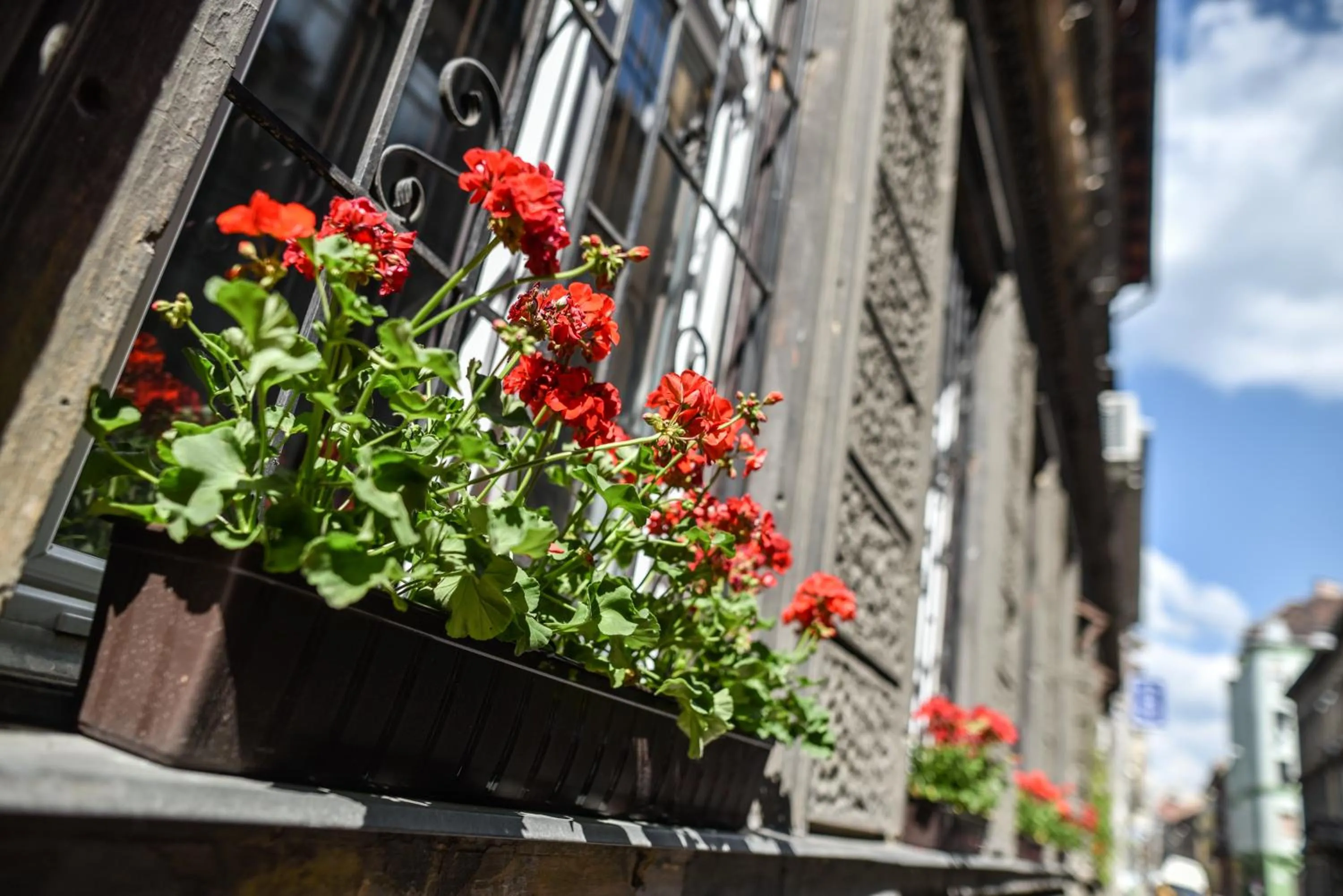 Property building in Corvin Point Rooms and Apartments