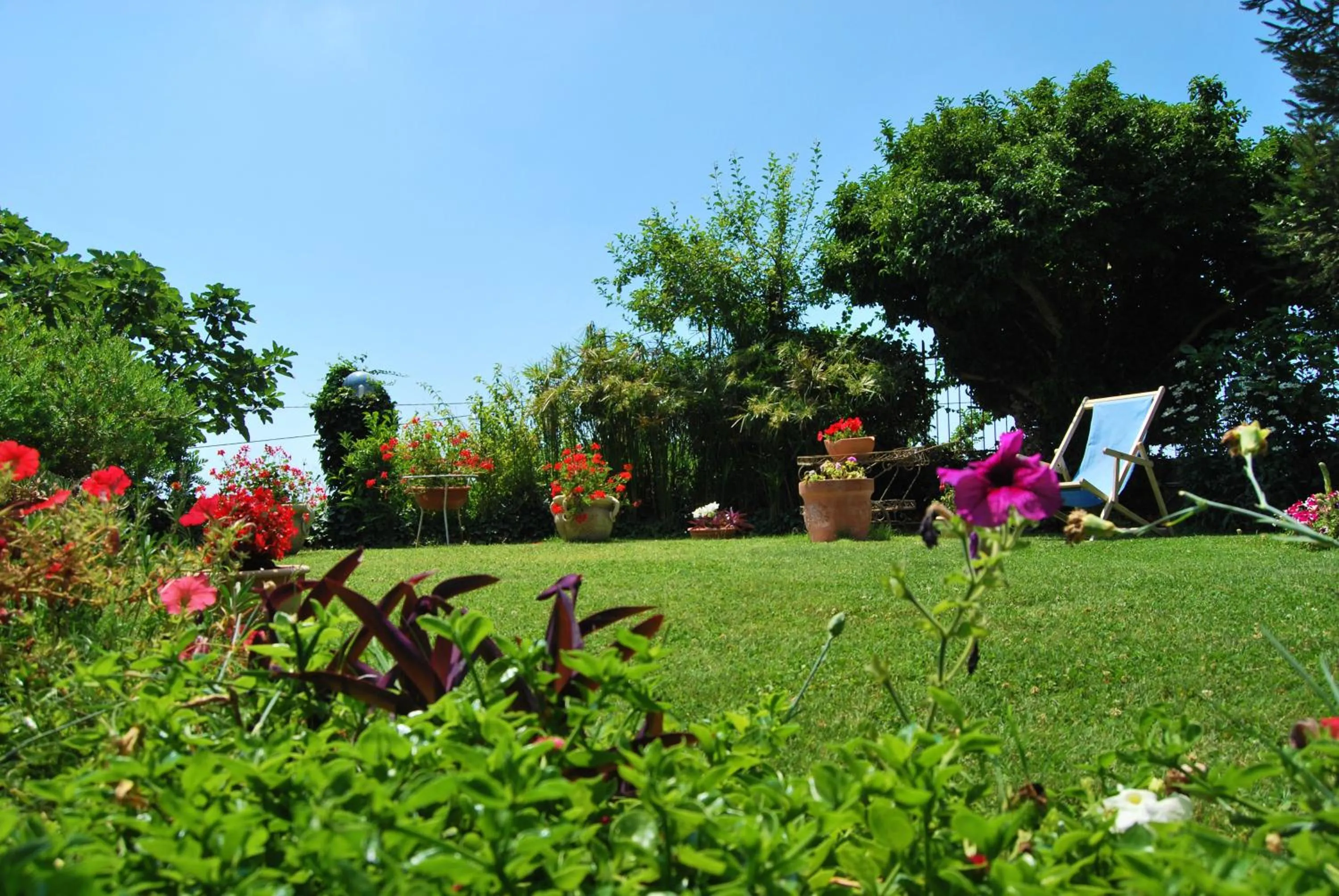Garden in Nido Degli Dei