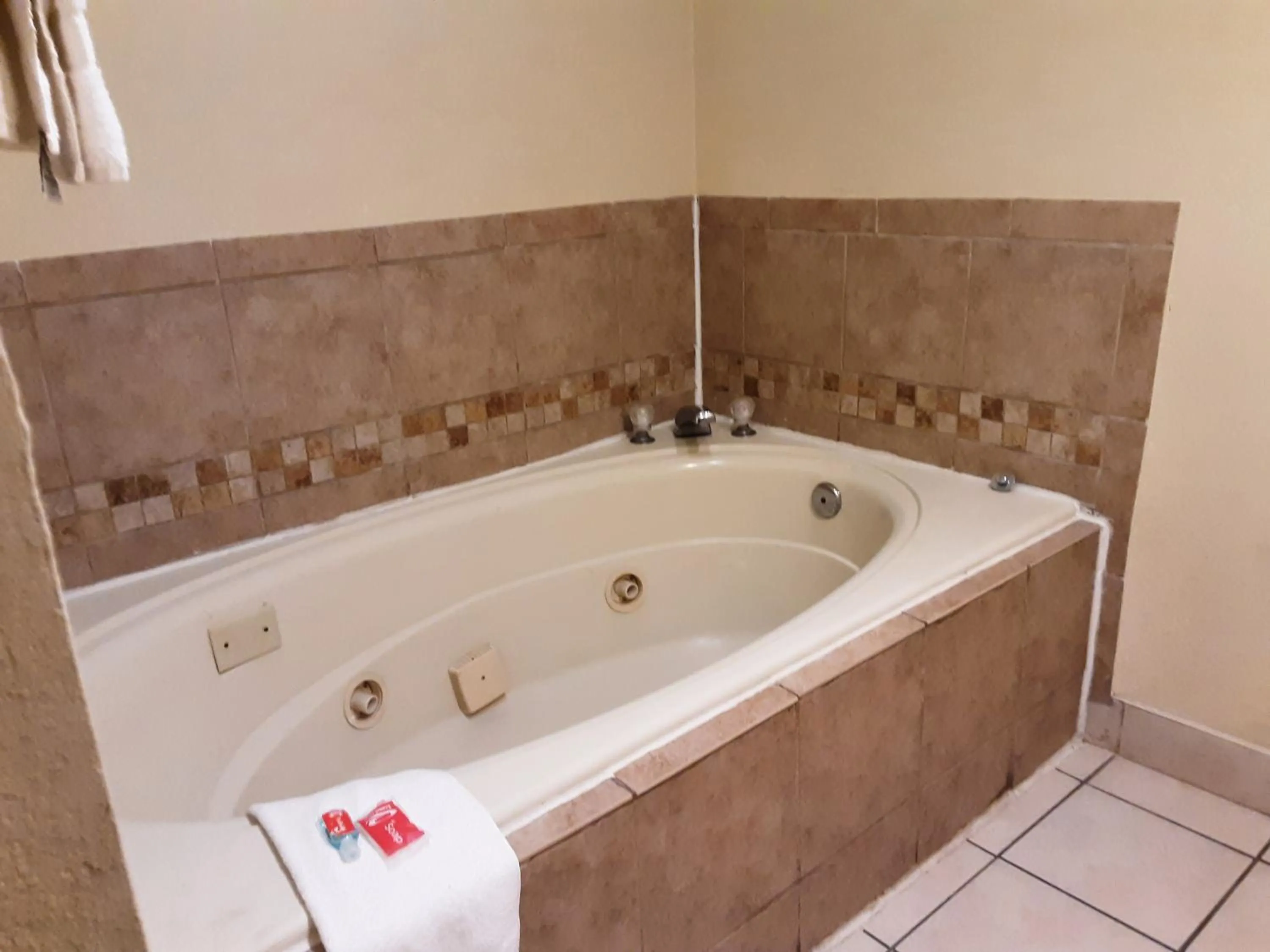 Econo Lodge Inn & Suites Griffin North