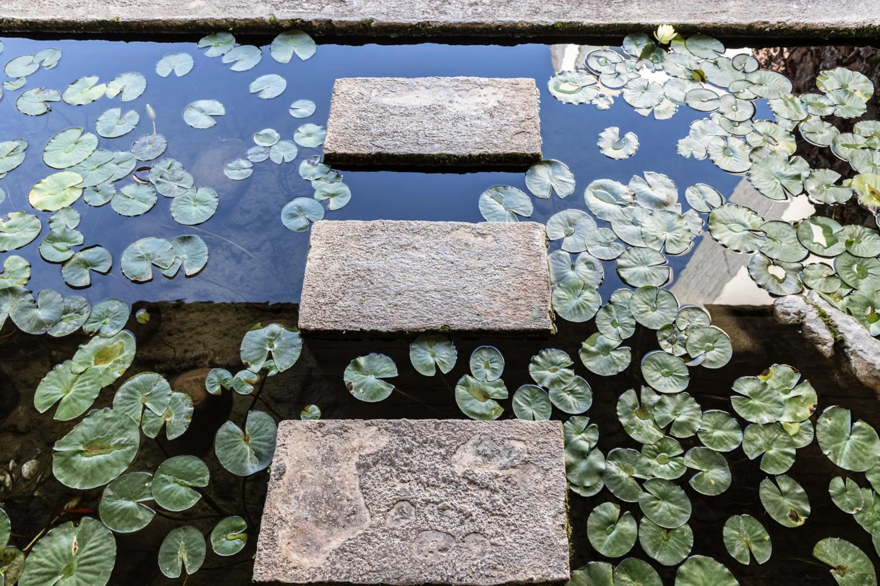 Lounge or bar in Amalia Hotel Delphi