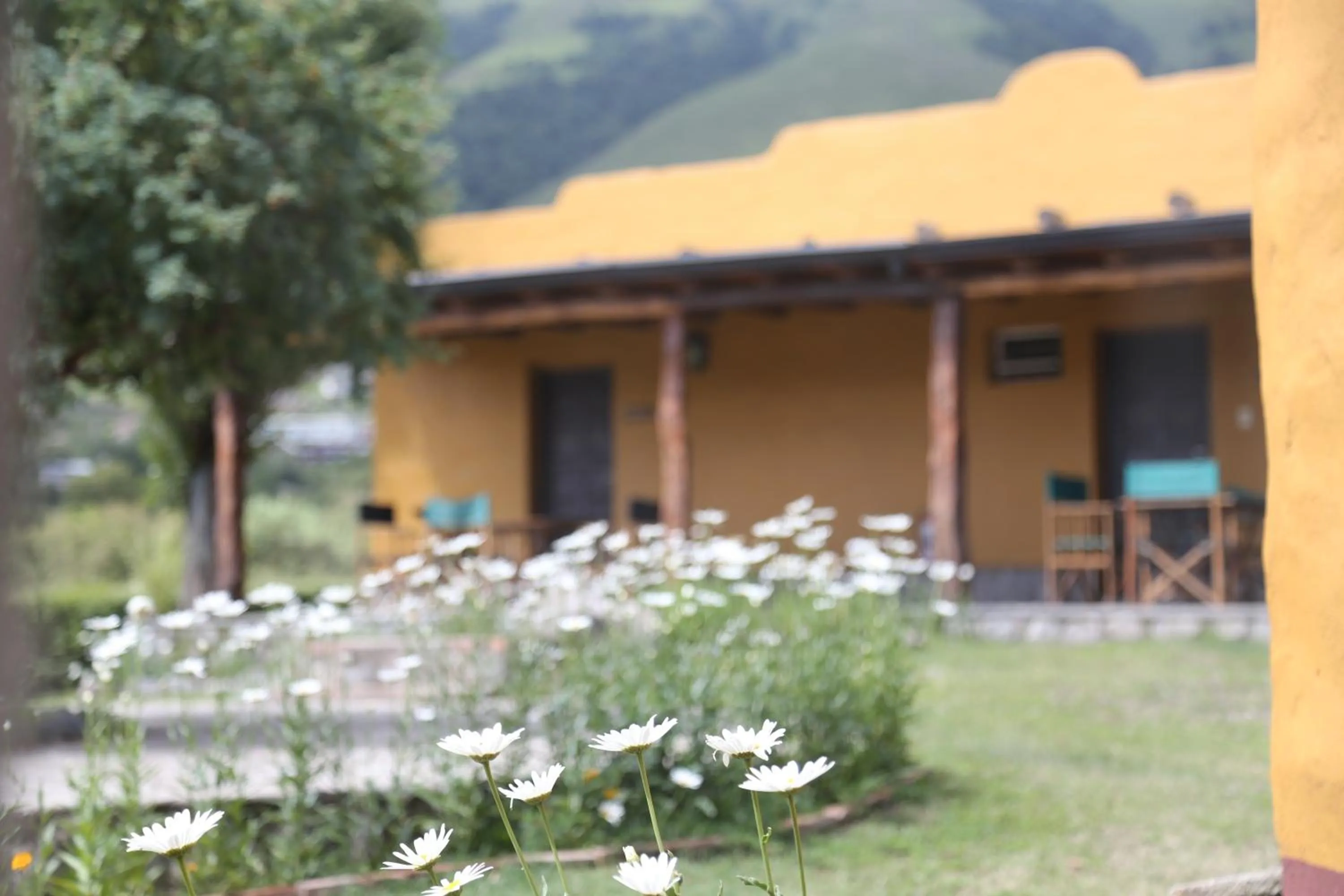 Off site in Posada La Guadalupe