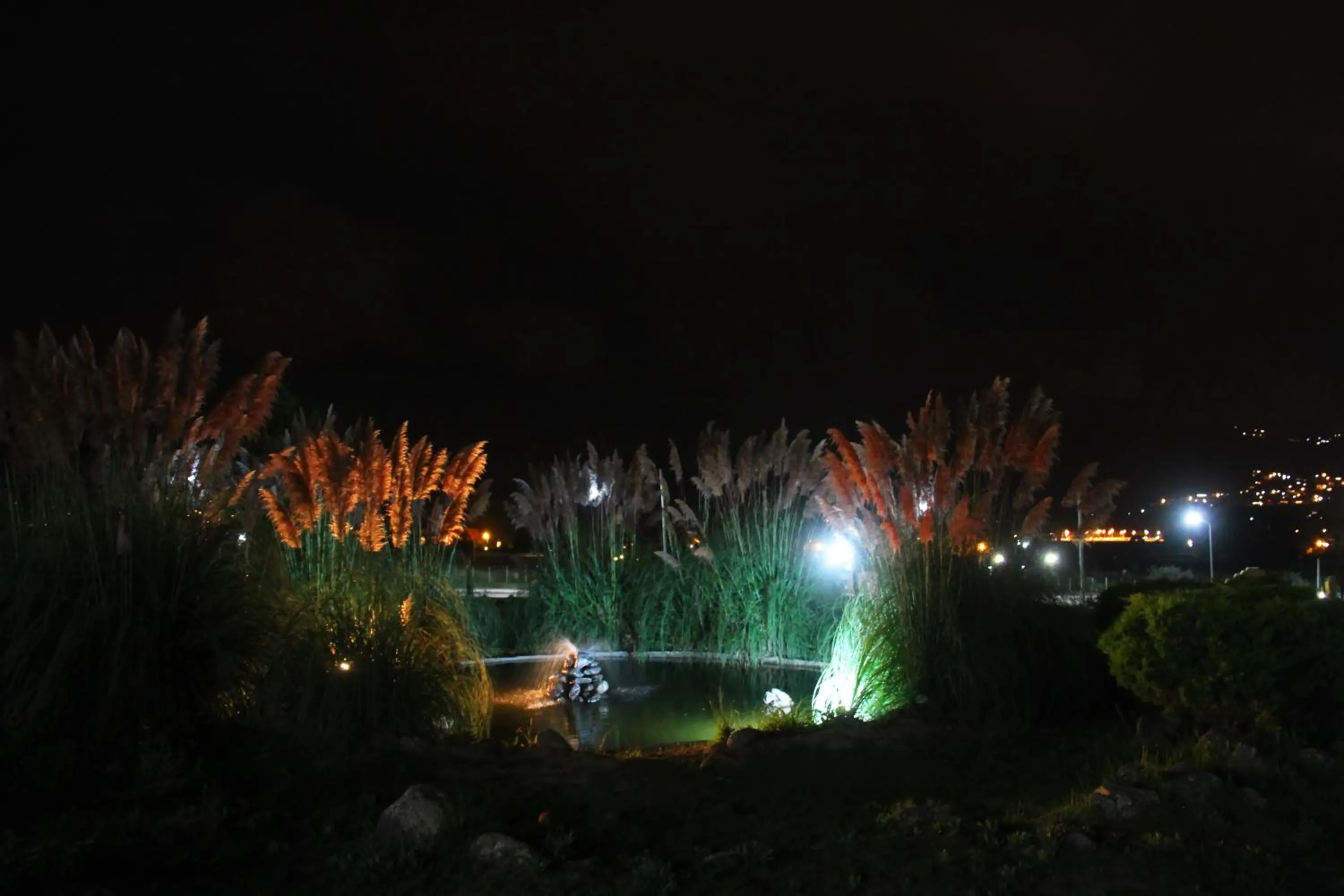 Garden in Posada La Guadalupe