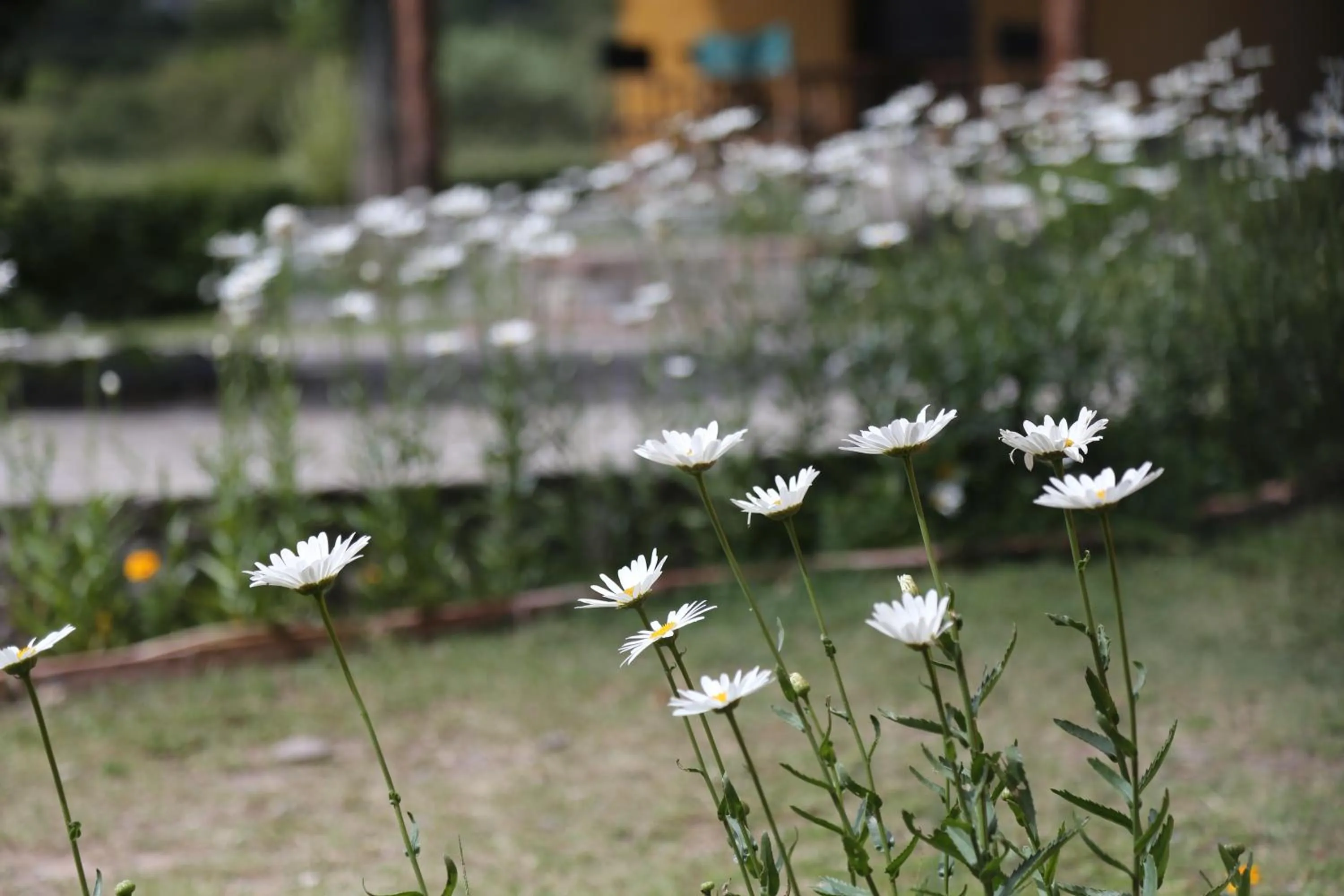 Off site in Posada La Guadalupe