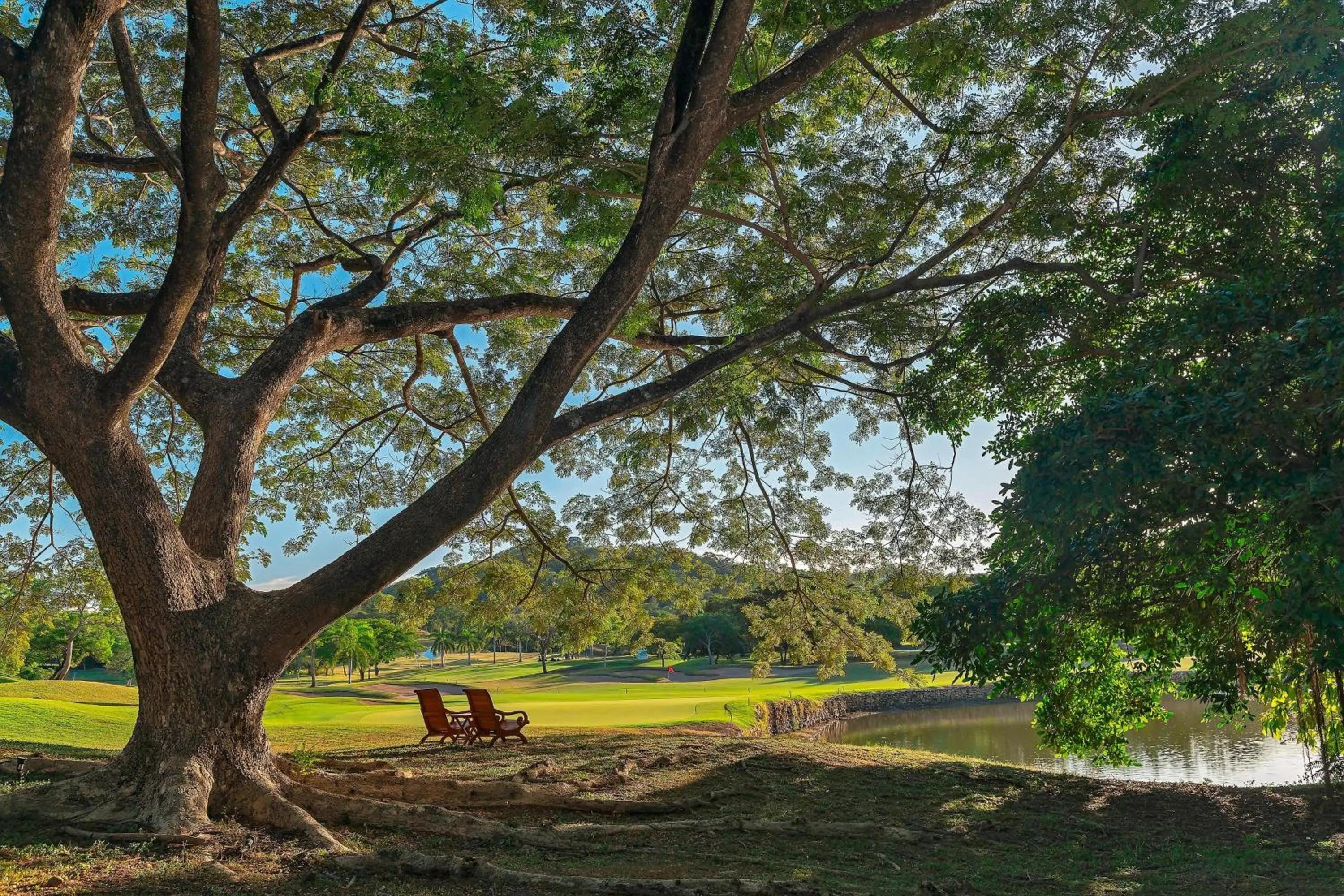 View (from property/room) in The Westin Reserva Conchal, an All-Inclusive Golf Resort & Spa