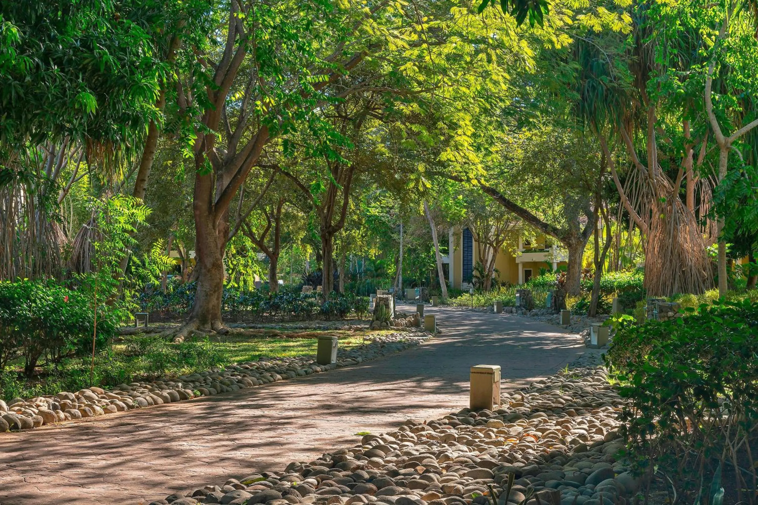 Photo of the whole room in The Westin Reserva Conchal, an All-Inclusive Golf Resort & Spa