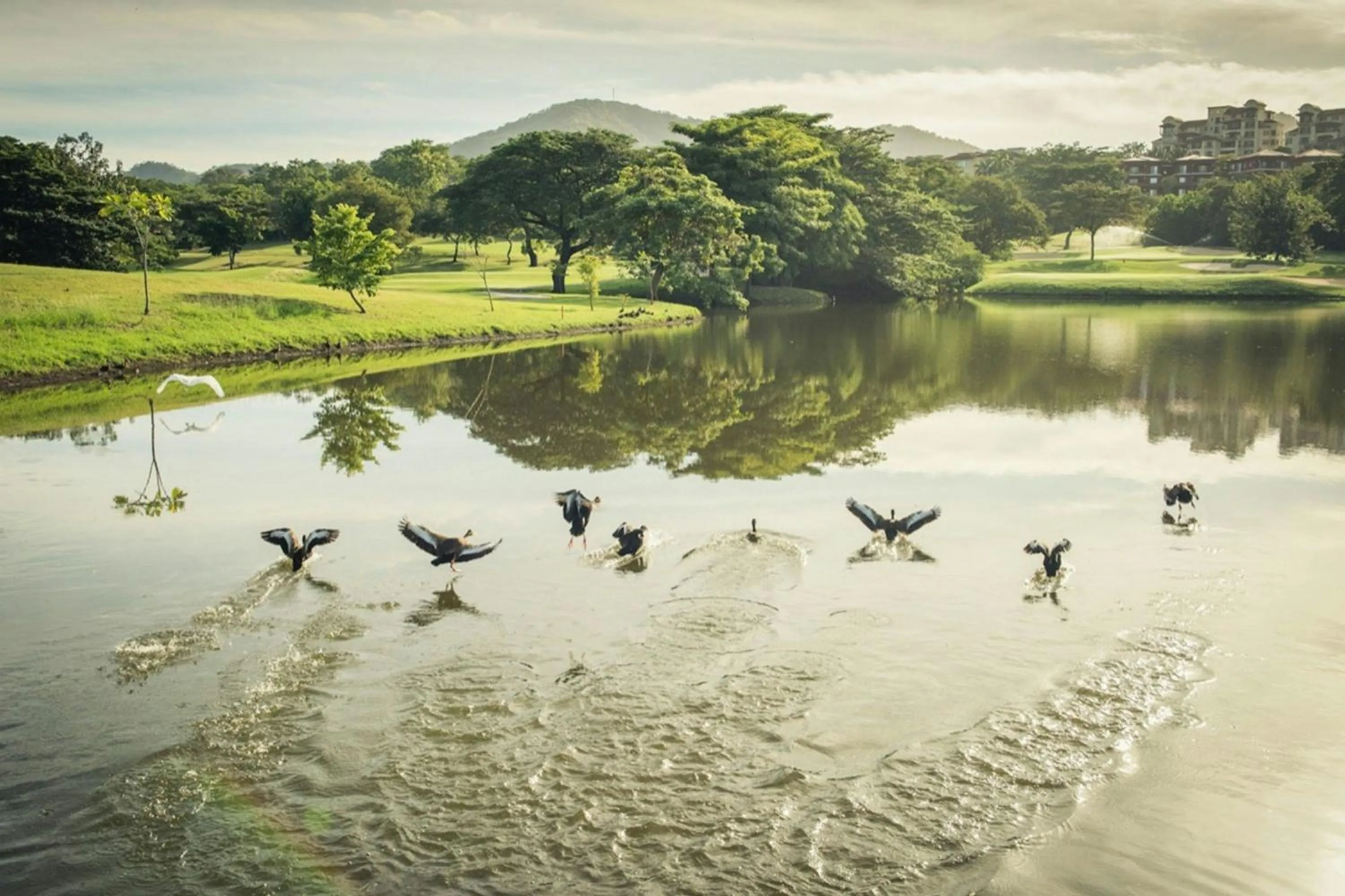 Other in The Westin Reserva Conchal, an All-Inclusive Golf Resort & Spa