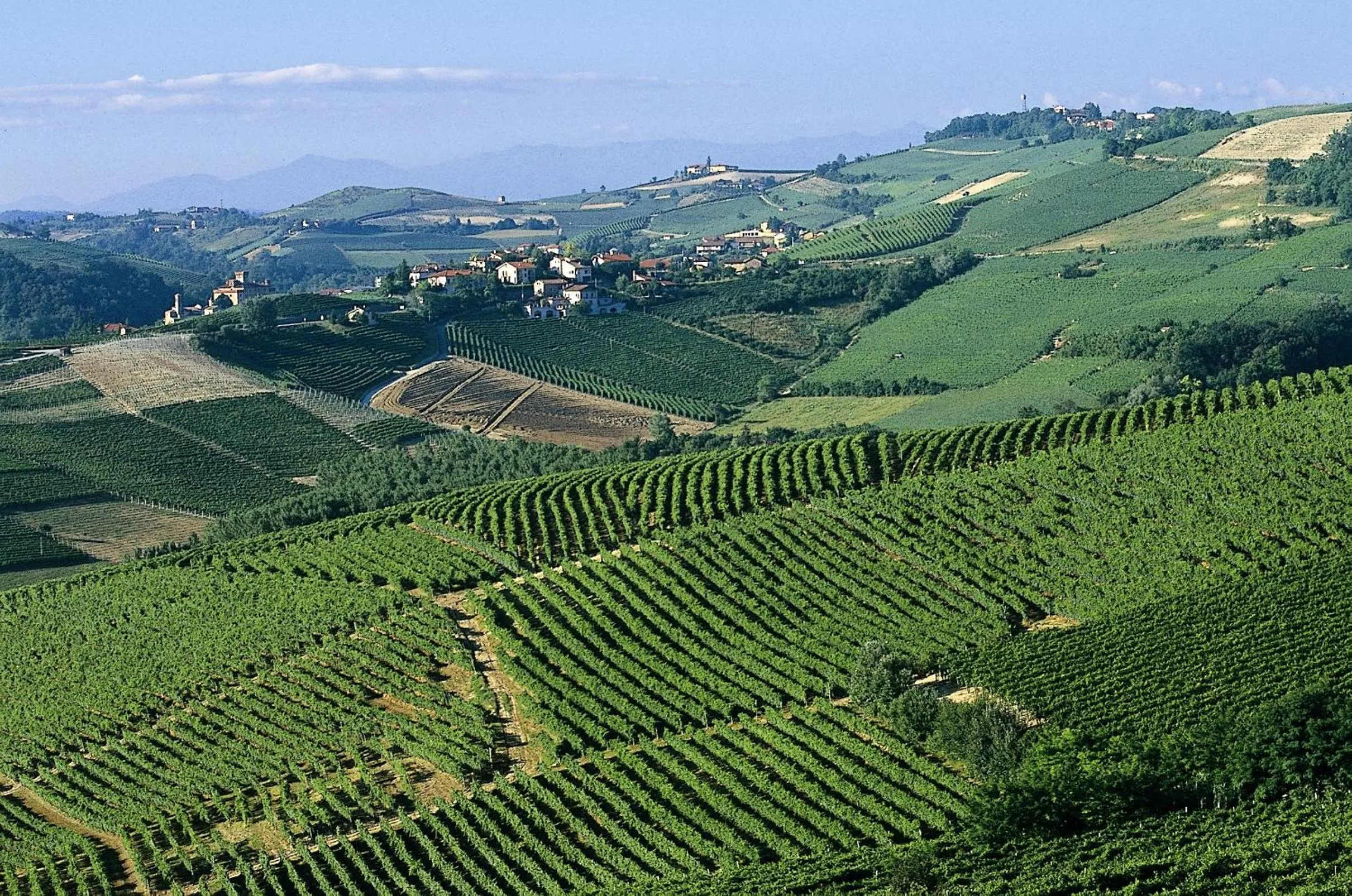 Hotel Barolo Classico