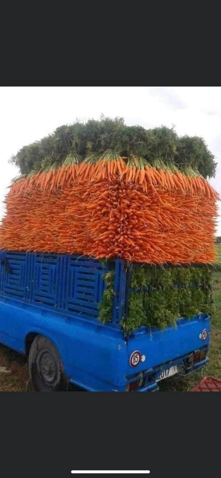 Riad Chameau FDC Hôtel SPA