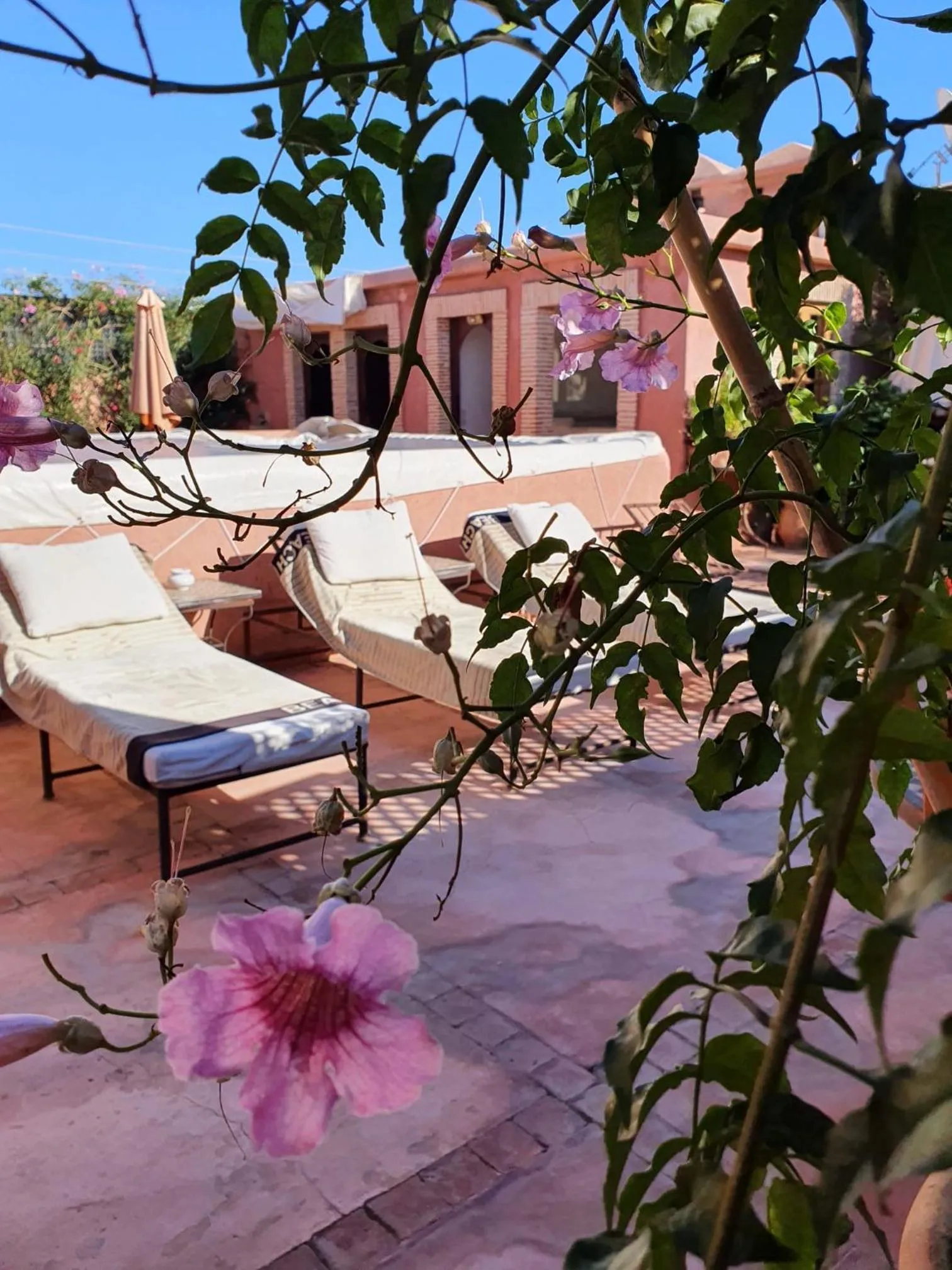 Patio in Riad Chameau FDC Hôtel SPA