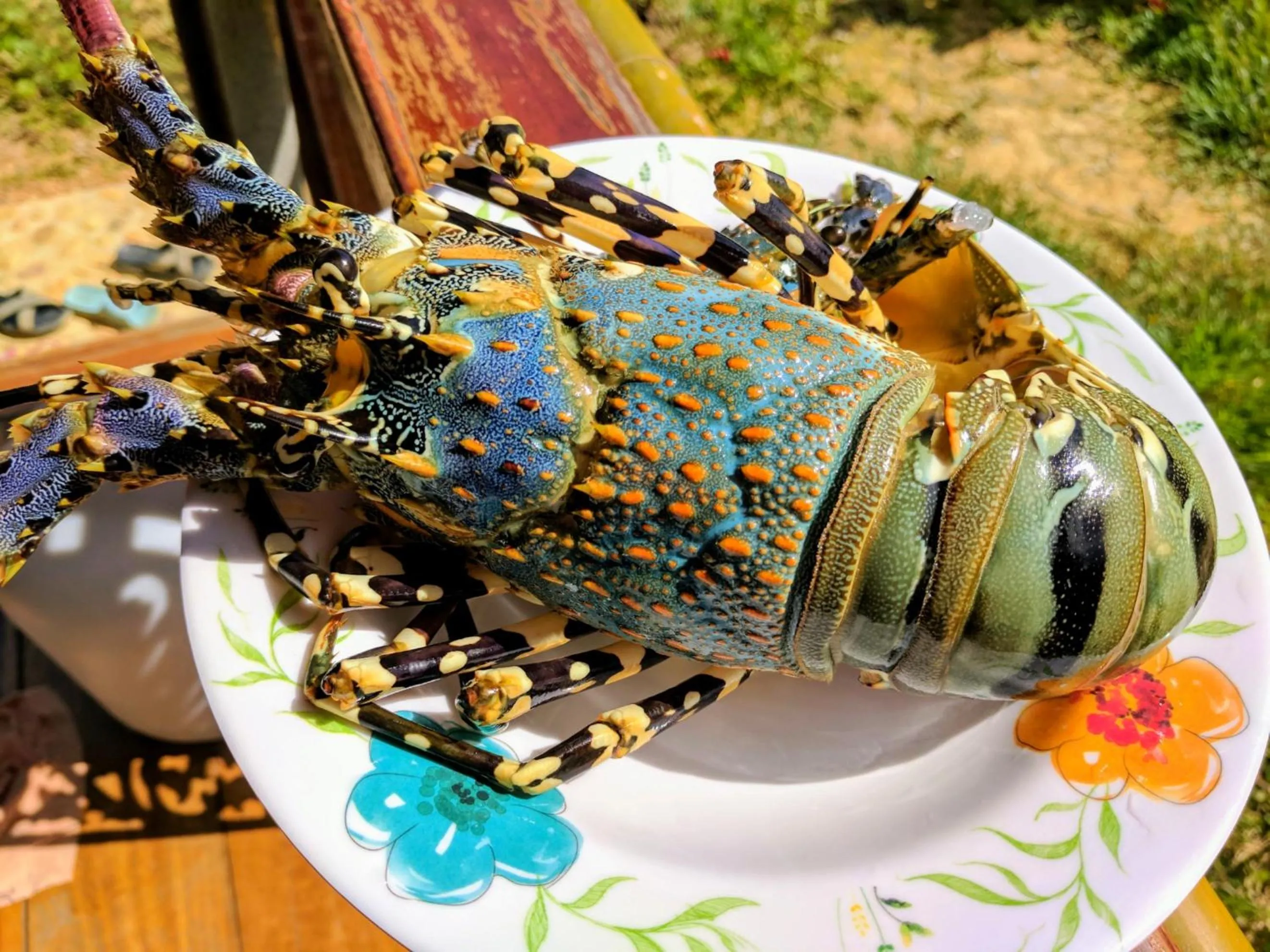 Food in Phayamas Private Beach Resort and Island Brew - Adults Only