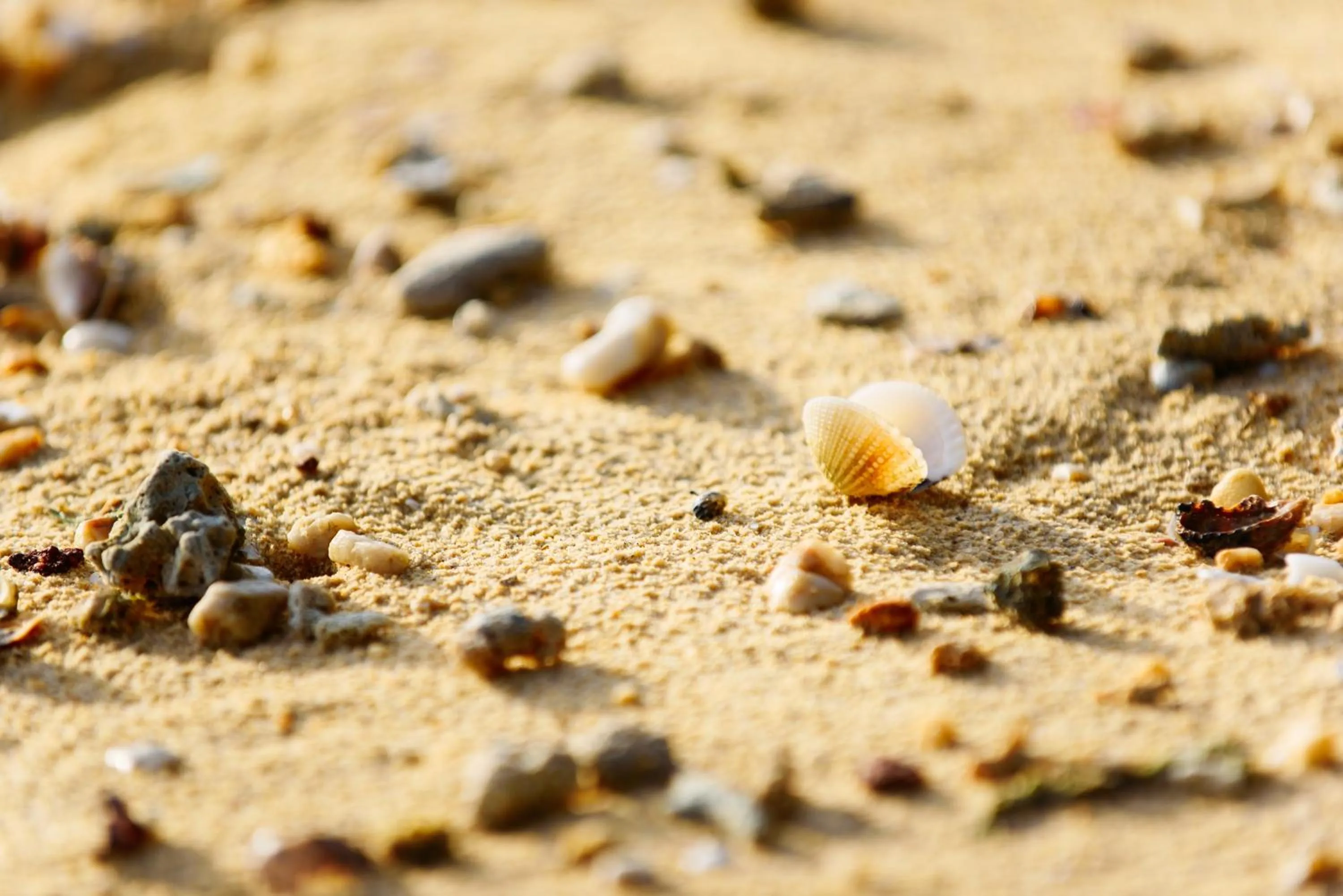 Day in Phayamas Private Beach Resort and Island Brew - Adults Only