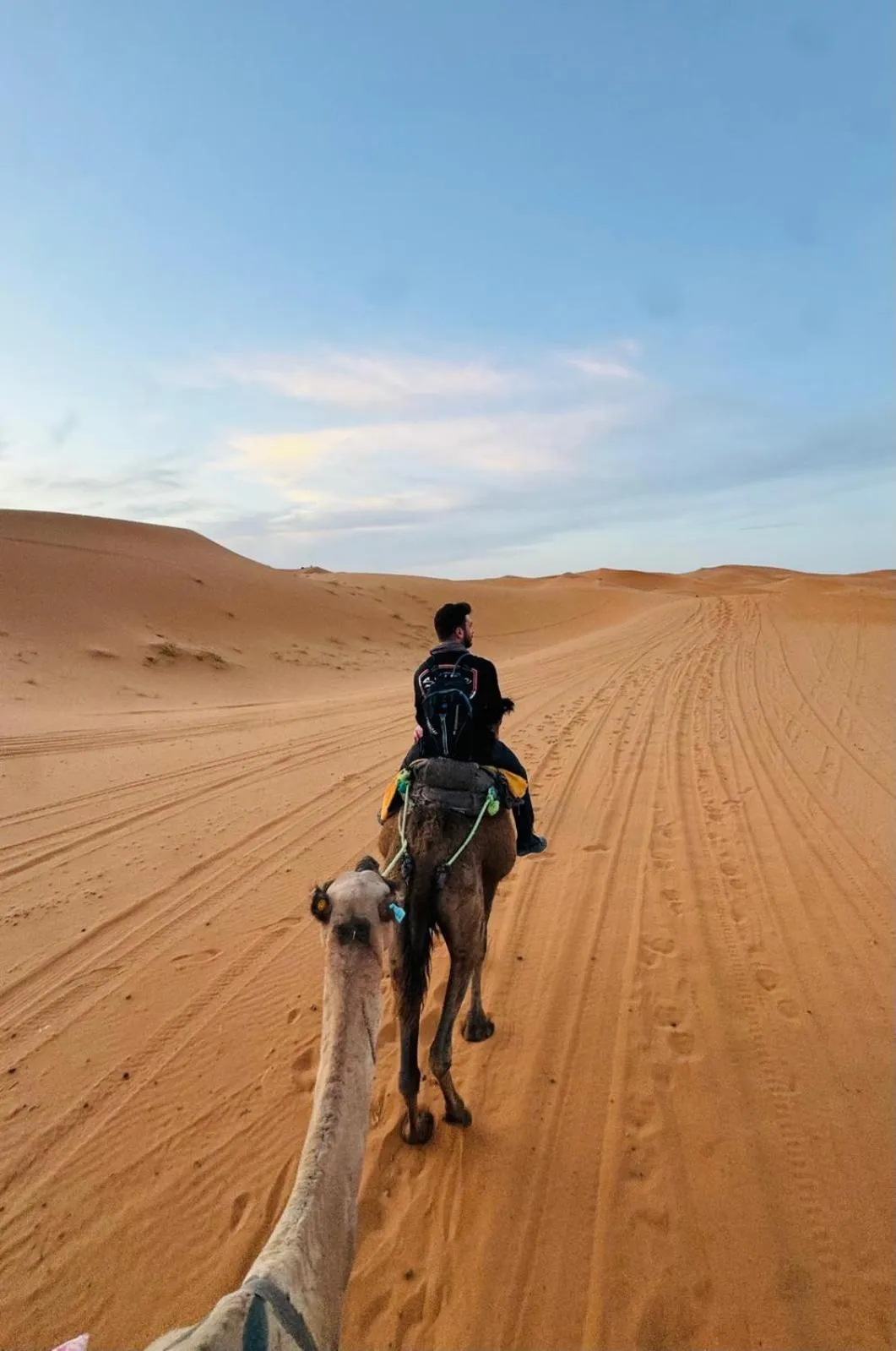 Maison Merzouga Guest House