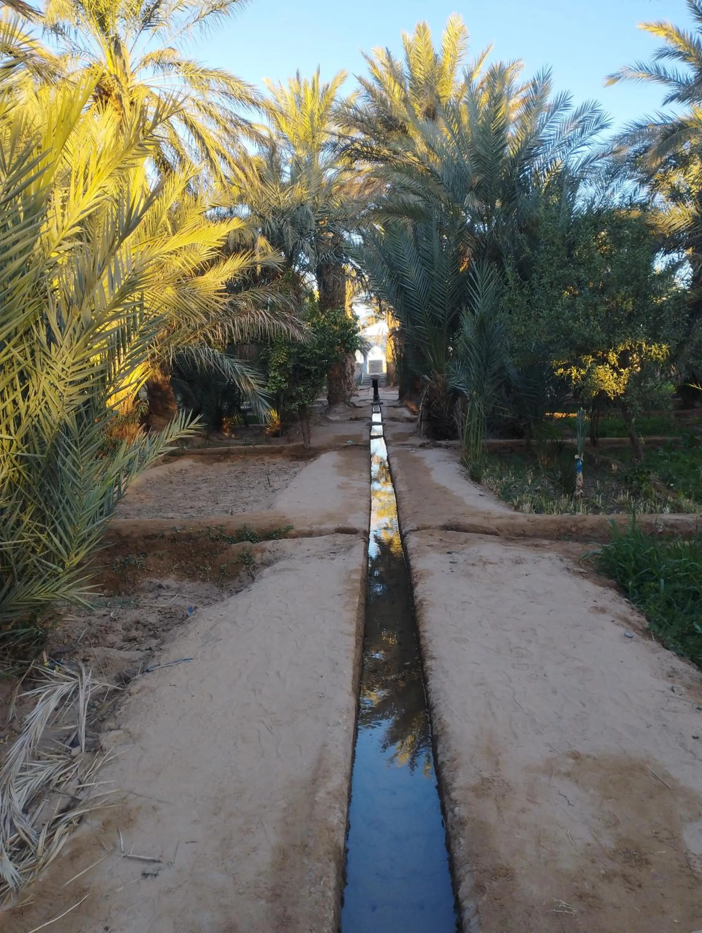 Natural landscape in Maison Merzouga Guest House