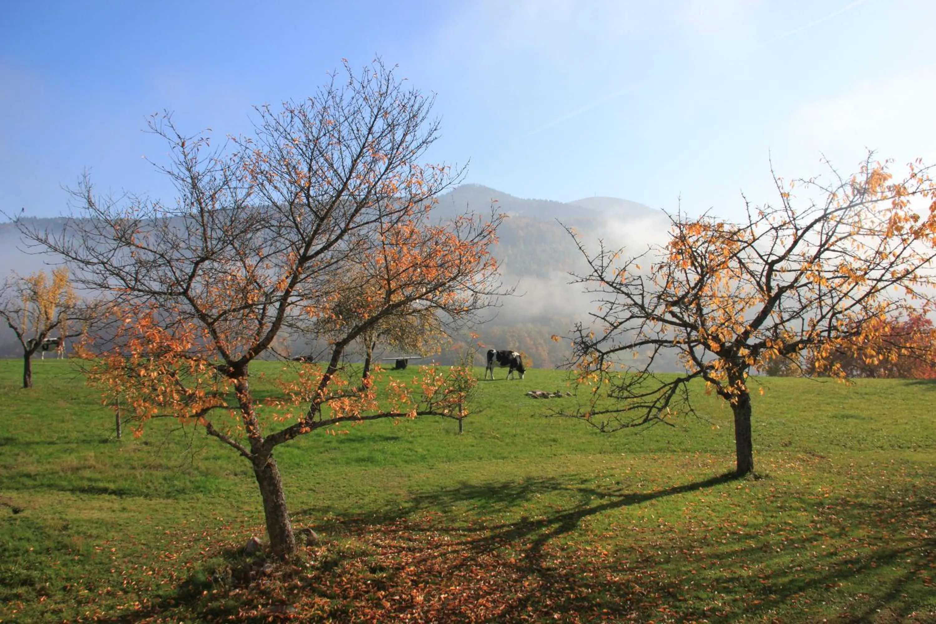 Mountain view in La Colline Du Baa - Maison d'hôtes d'exception