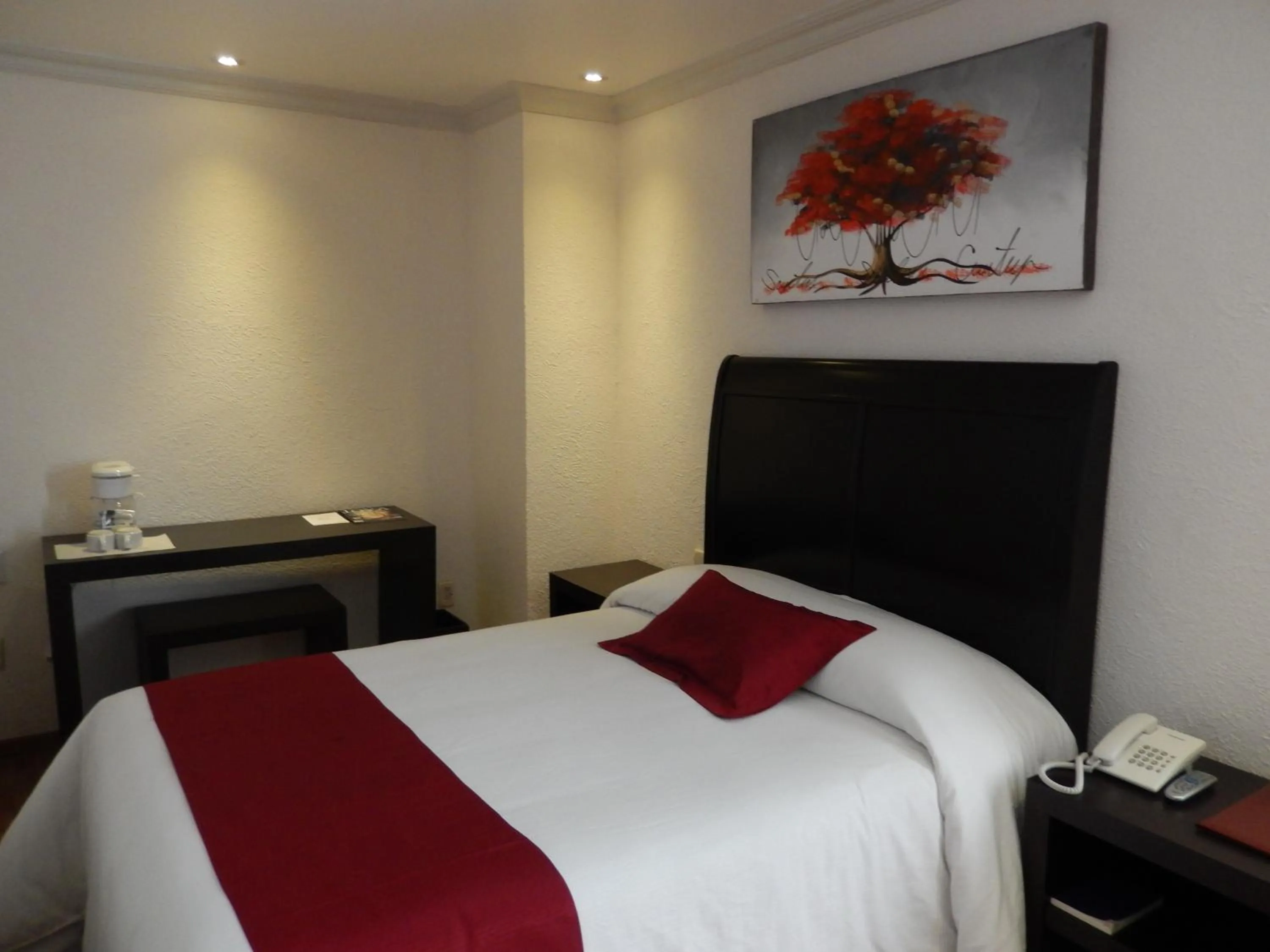 Bed in Roma Guadalajara in downtown