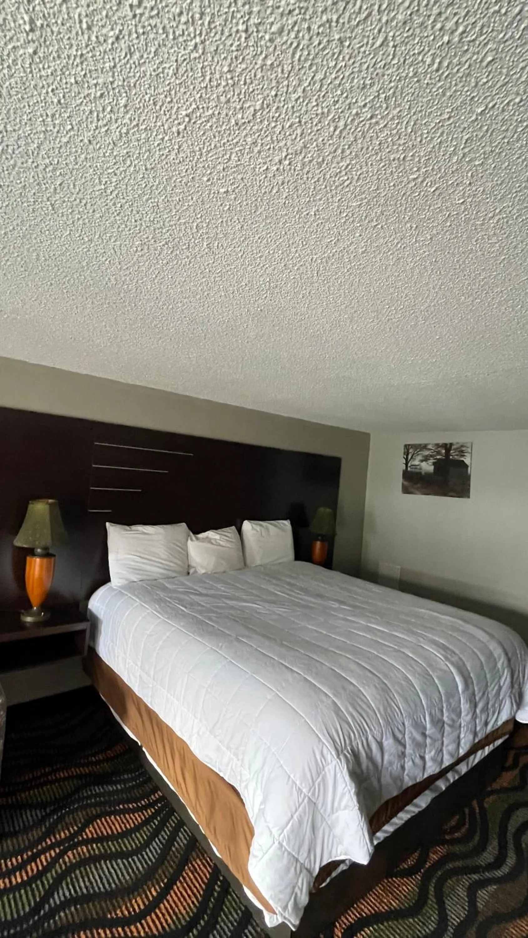 Bed in Country Town N' Suites