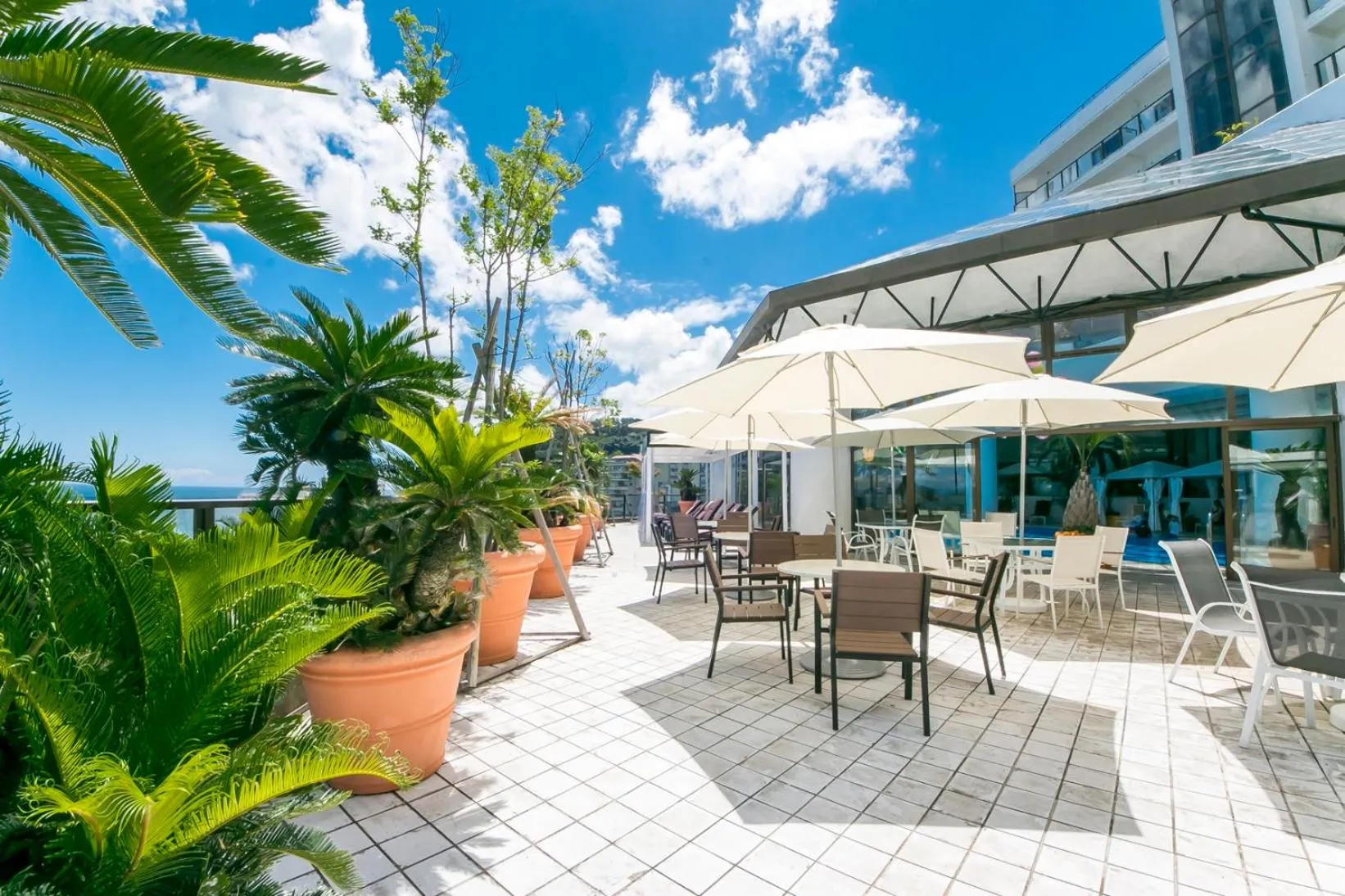 Balcony/Terrace in Hotel Katara Resort & Spa