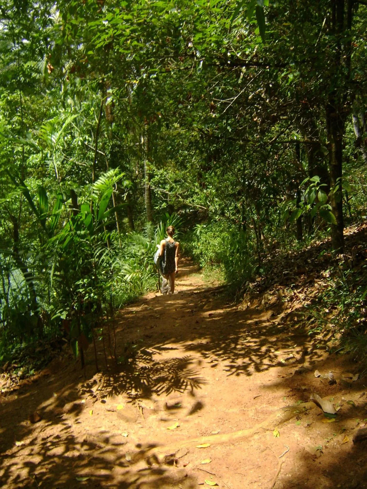 Activities in Polwaththa Eco Lodges