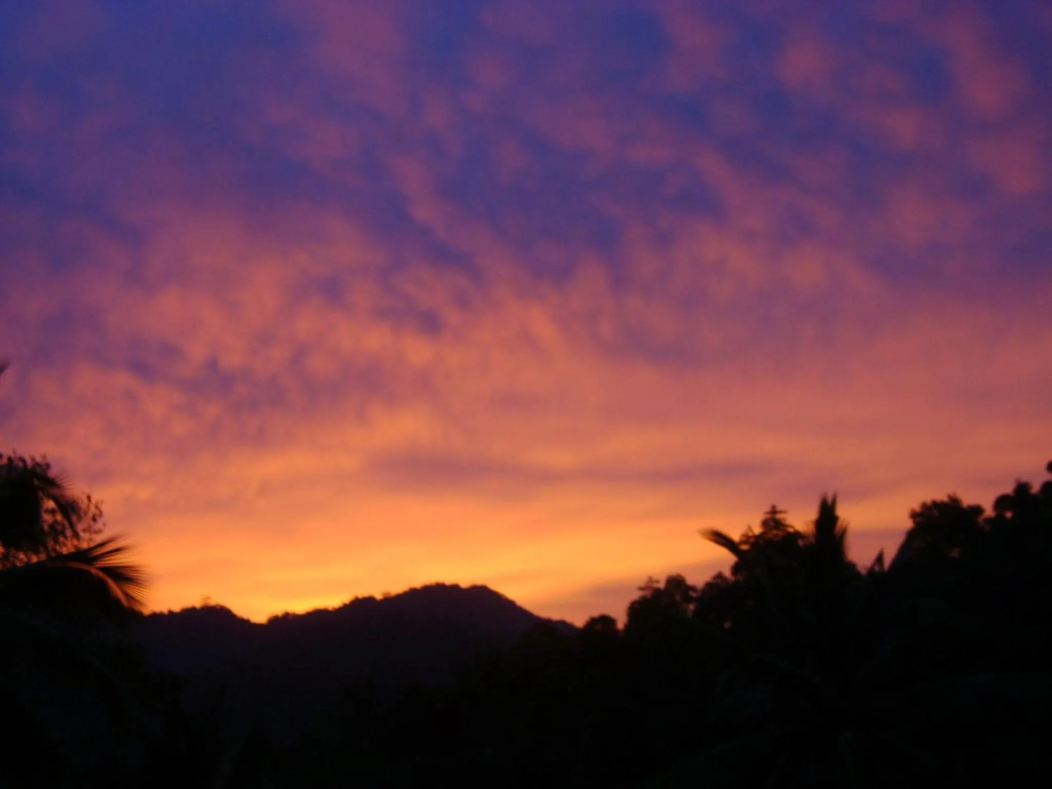 Natural landscape in Polwaththa Eco Lodges