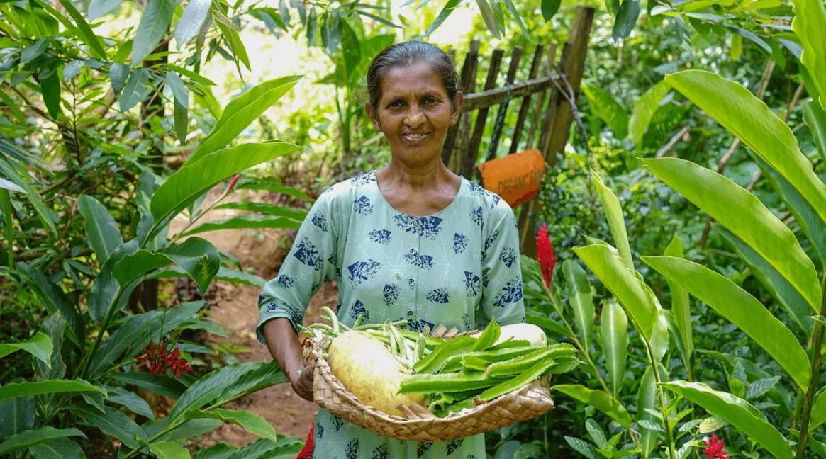 Garden in Polwaththa Eco Lodges