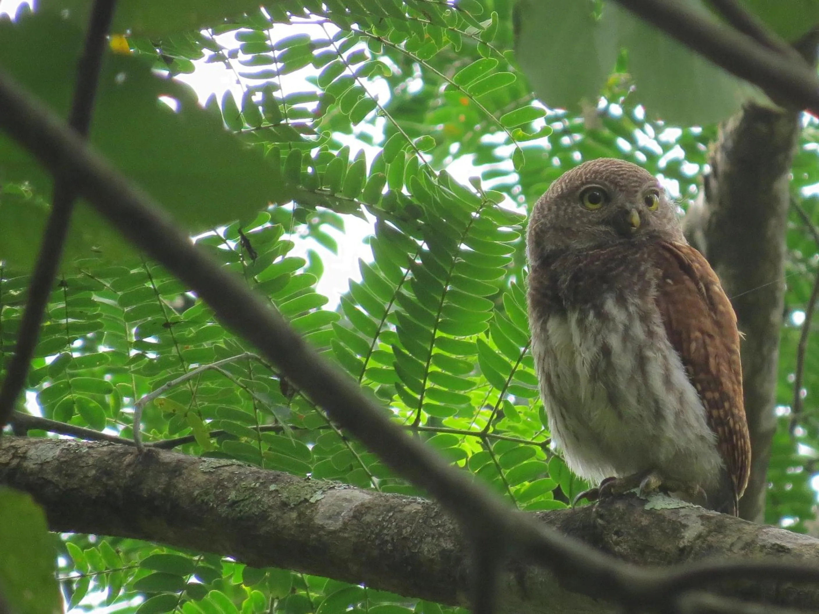 Family in Polwaththa Eco Lodges