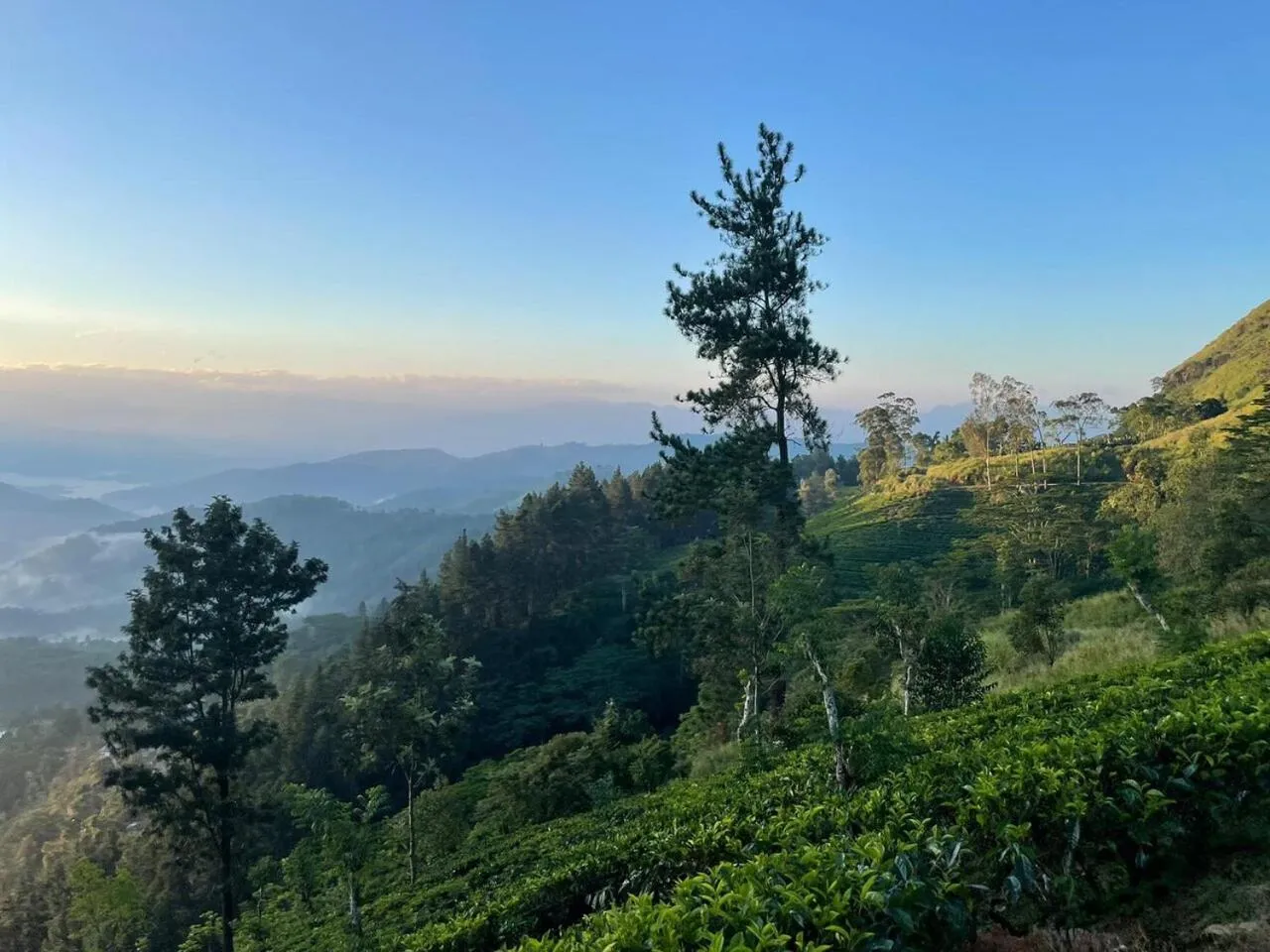 Hiking in Polwaththa Eco Lodges