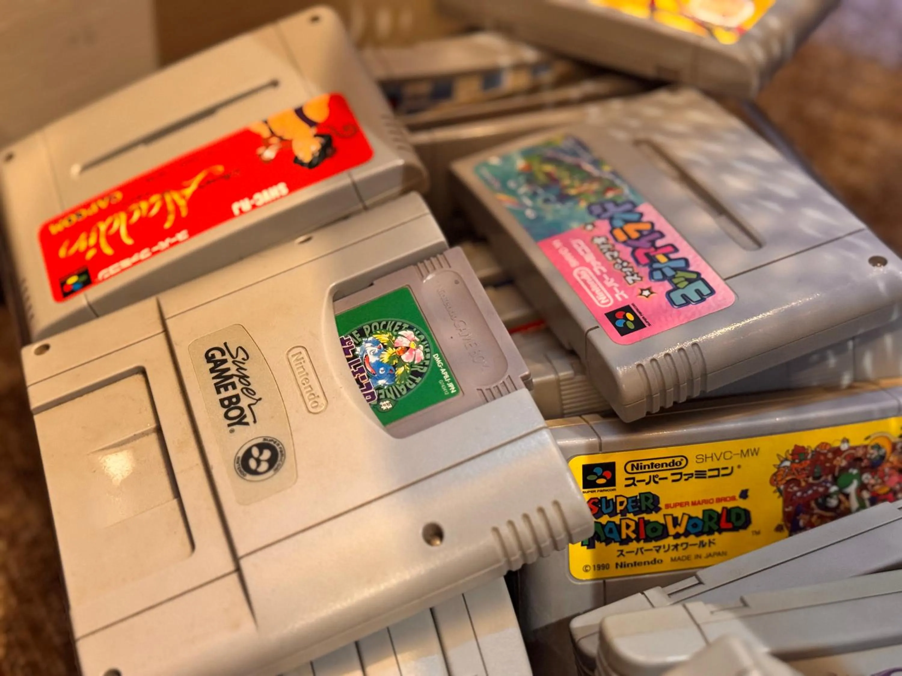 Area and facilities in Rantanrirun ランタンリルン