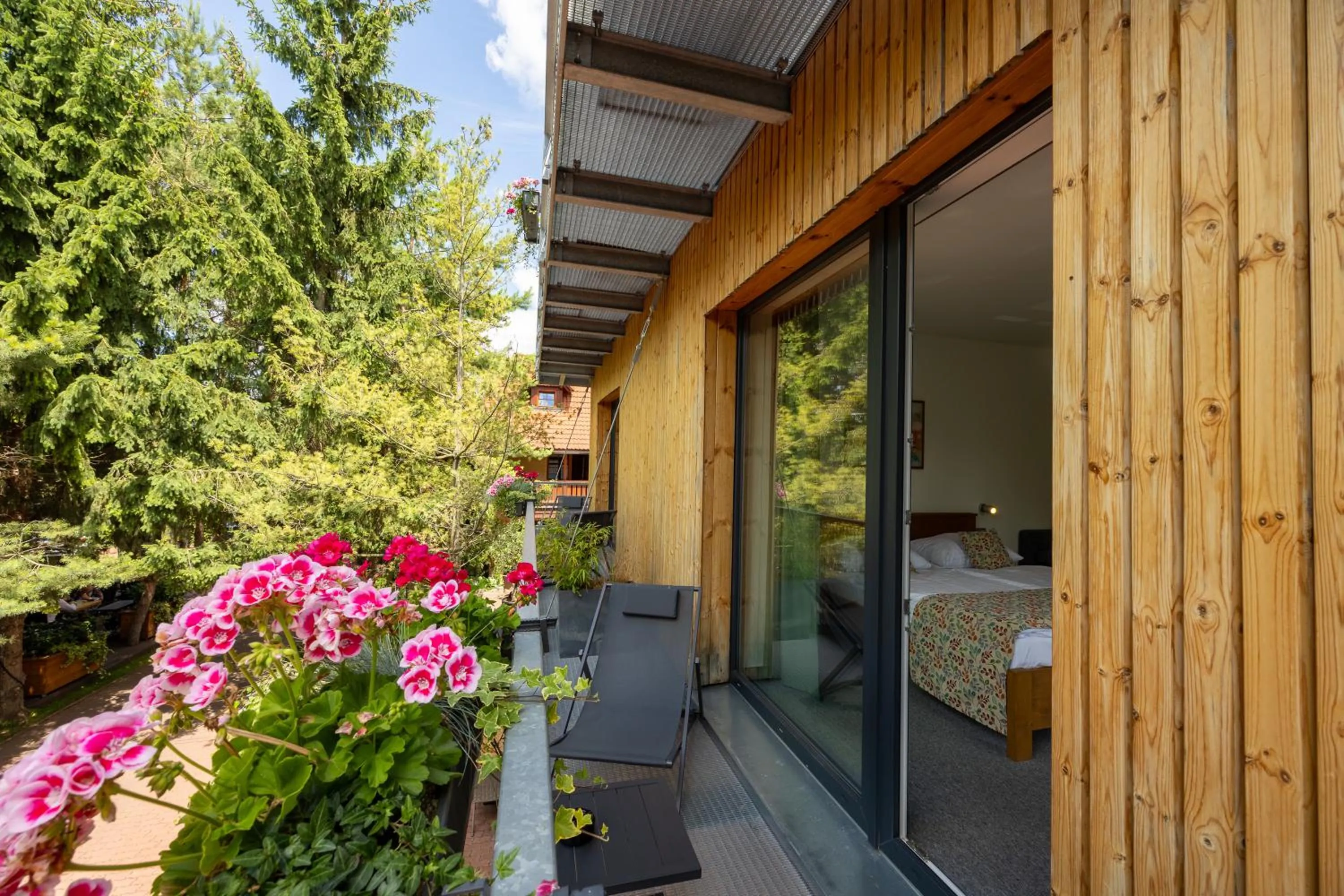 Balcony/Terrace in Hotel Frýdl