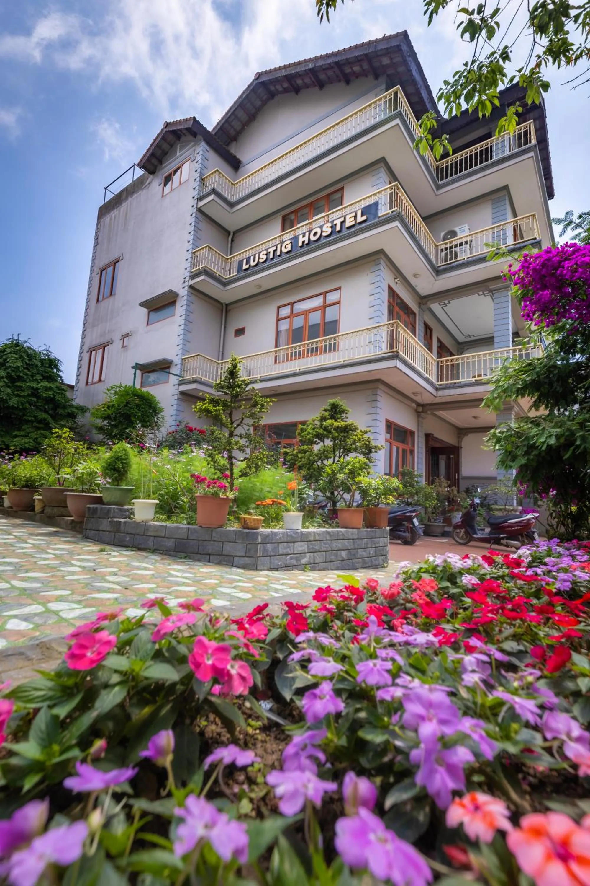 Property building in Lustig Hostel