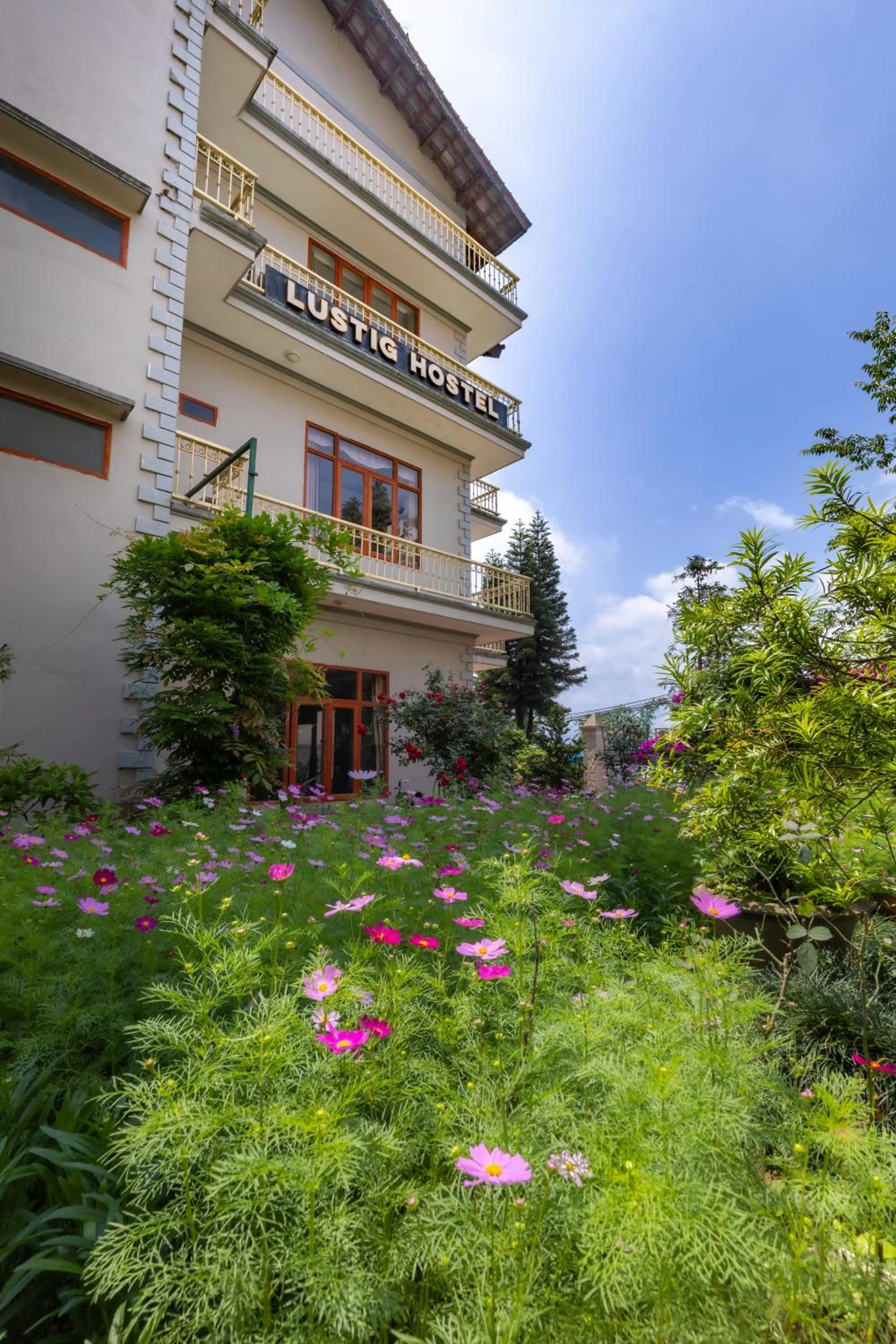 Property building in Lustig Hostel