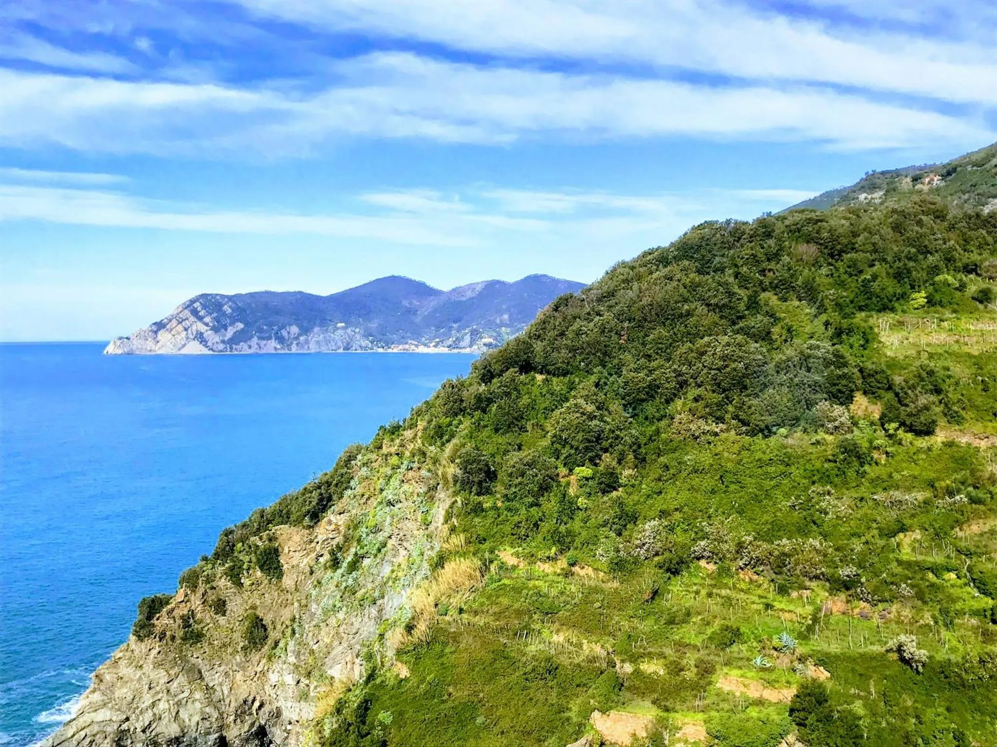 Sea view in il Magàn - Cinque Terre