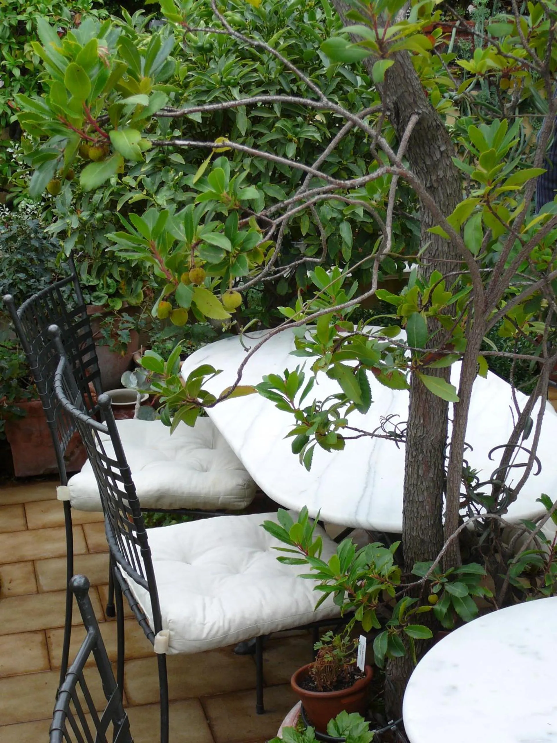La Terrazza dei Pelargoni B&B