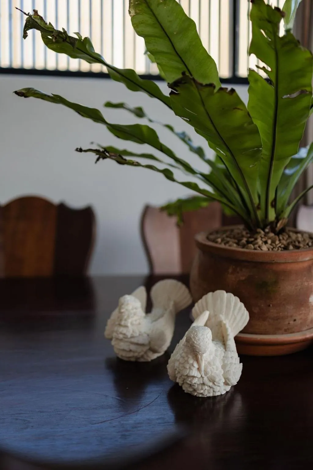 Radium Hall Guest House