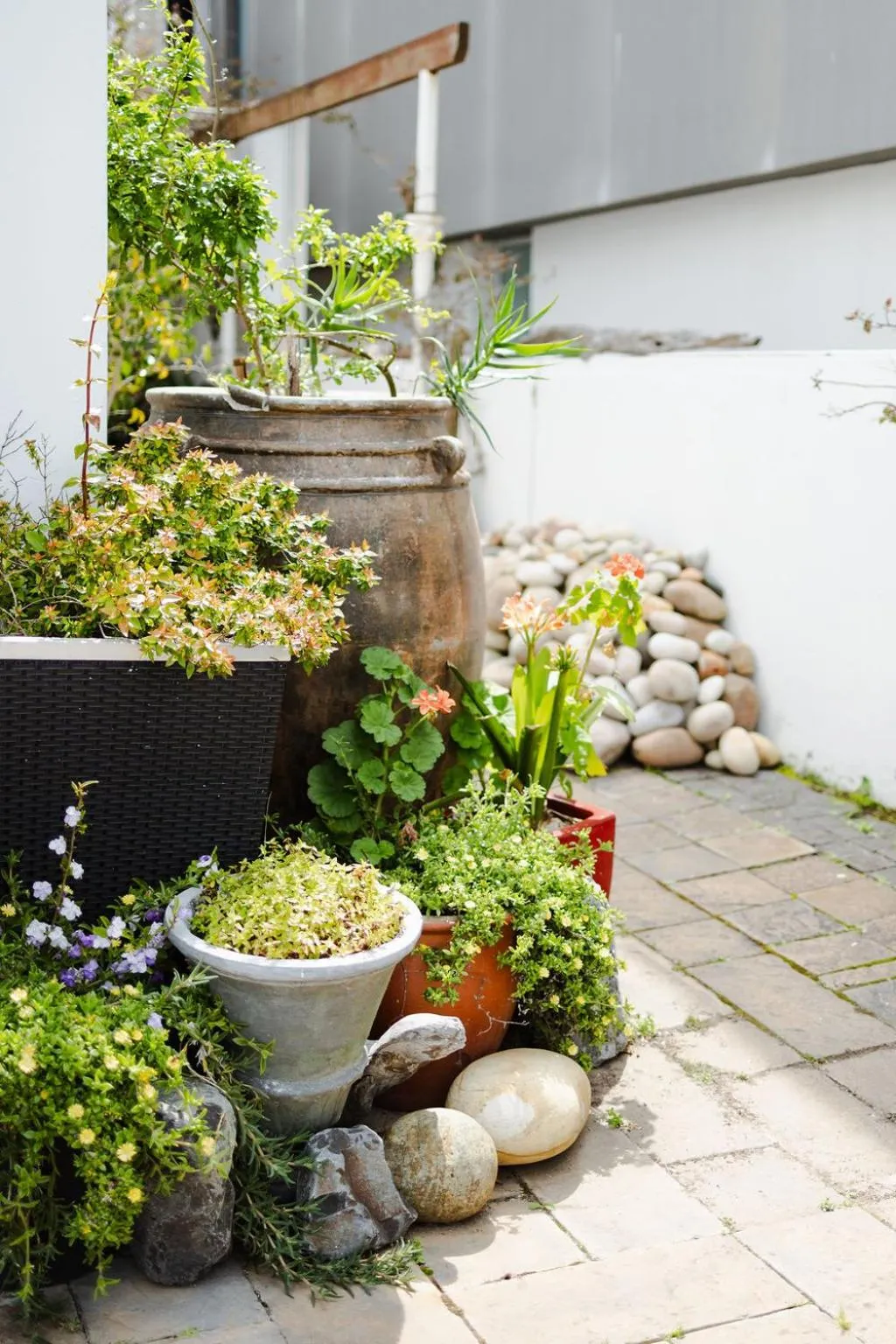 Radium Hall Guest House