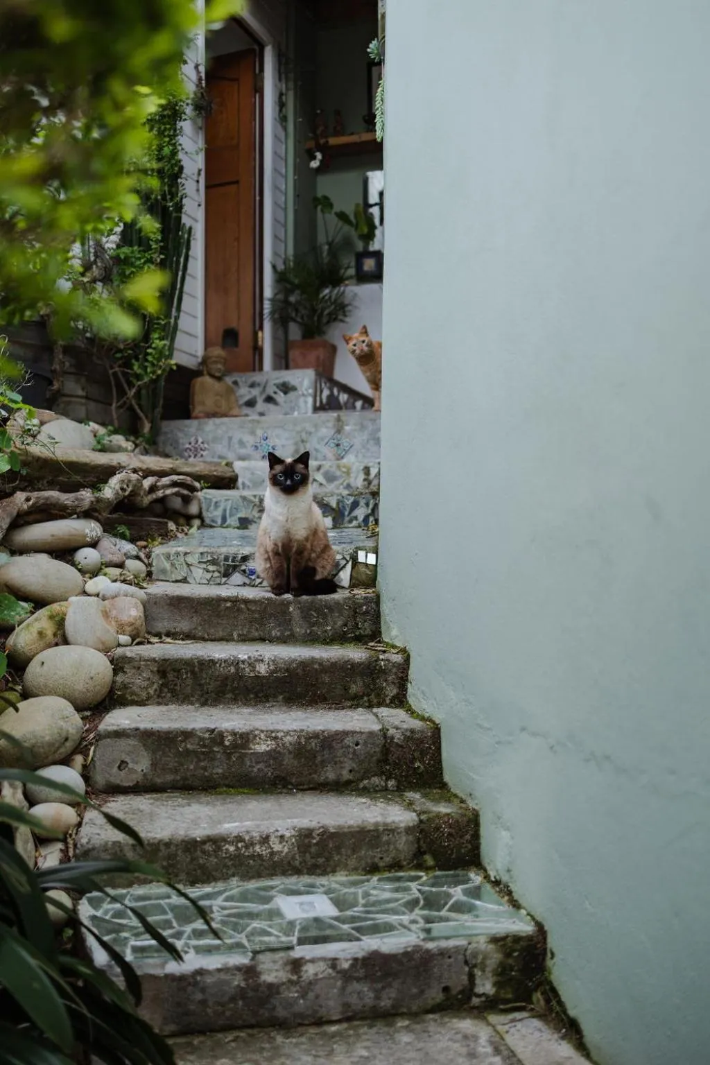 Radium Hall Guest House