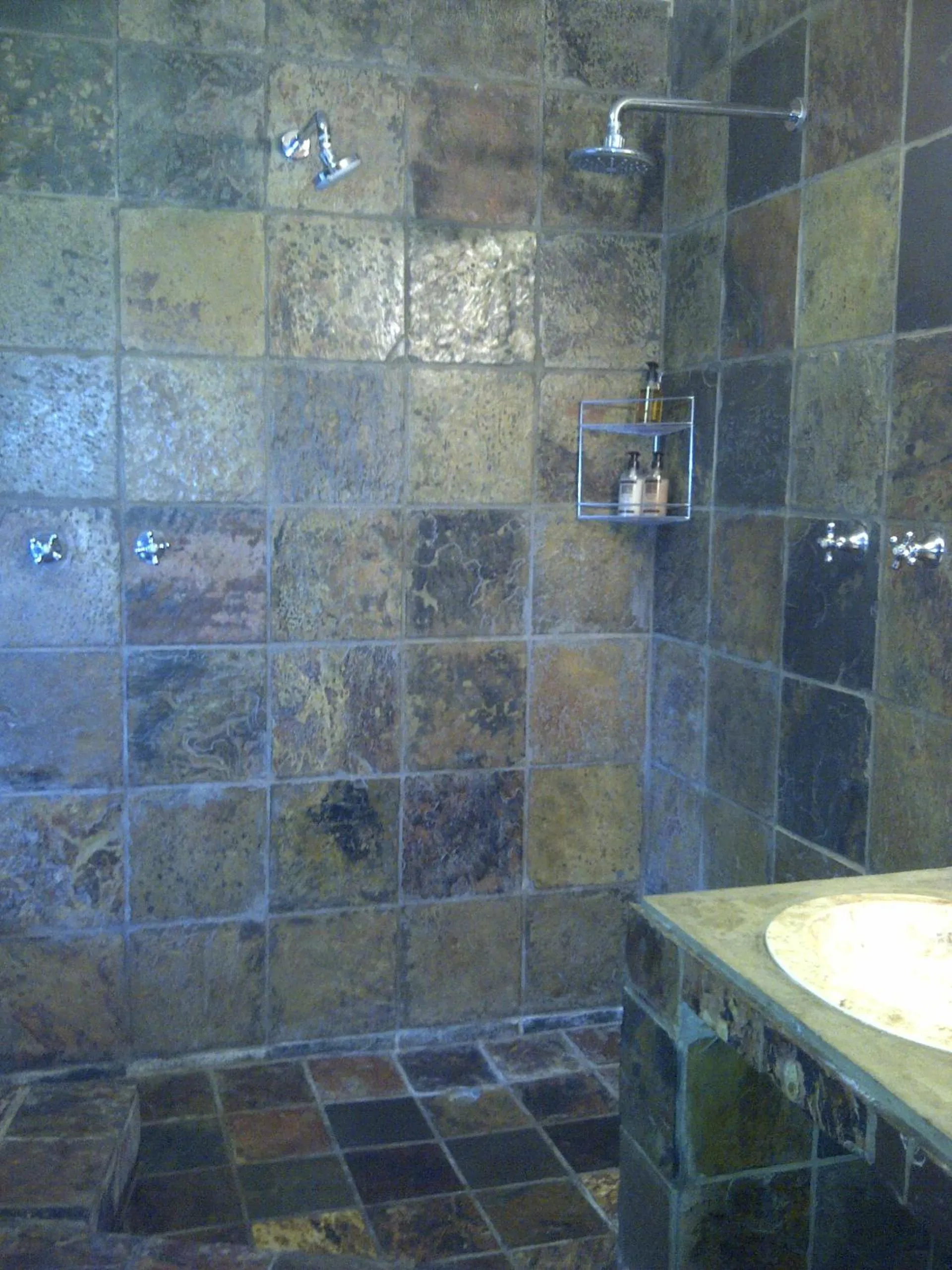 Shower in Agulhas Country Lodge