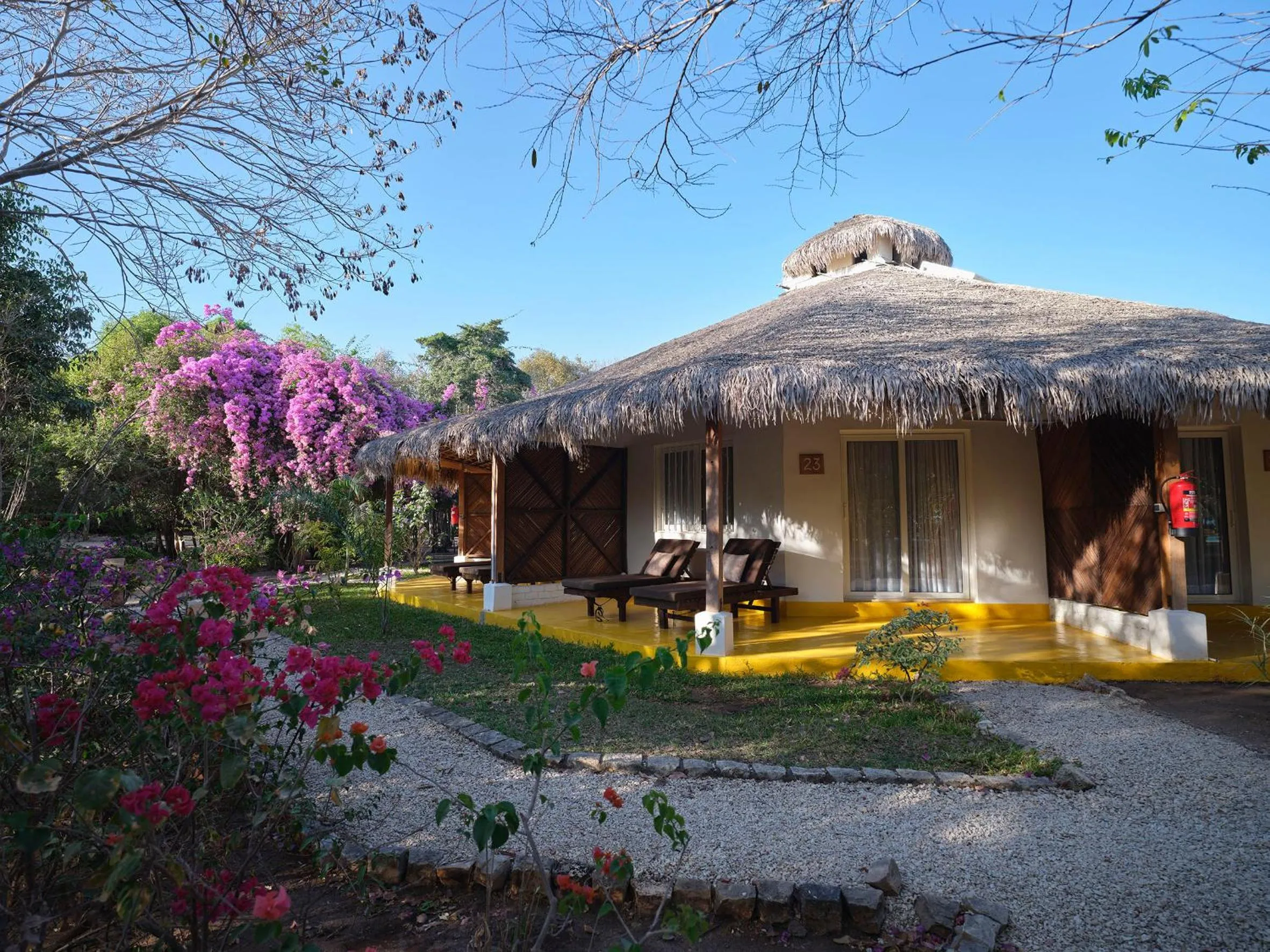 Garden view in Antsanitia Resort