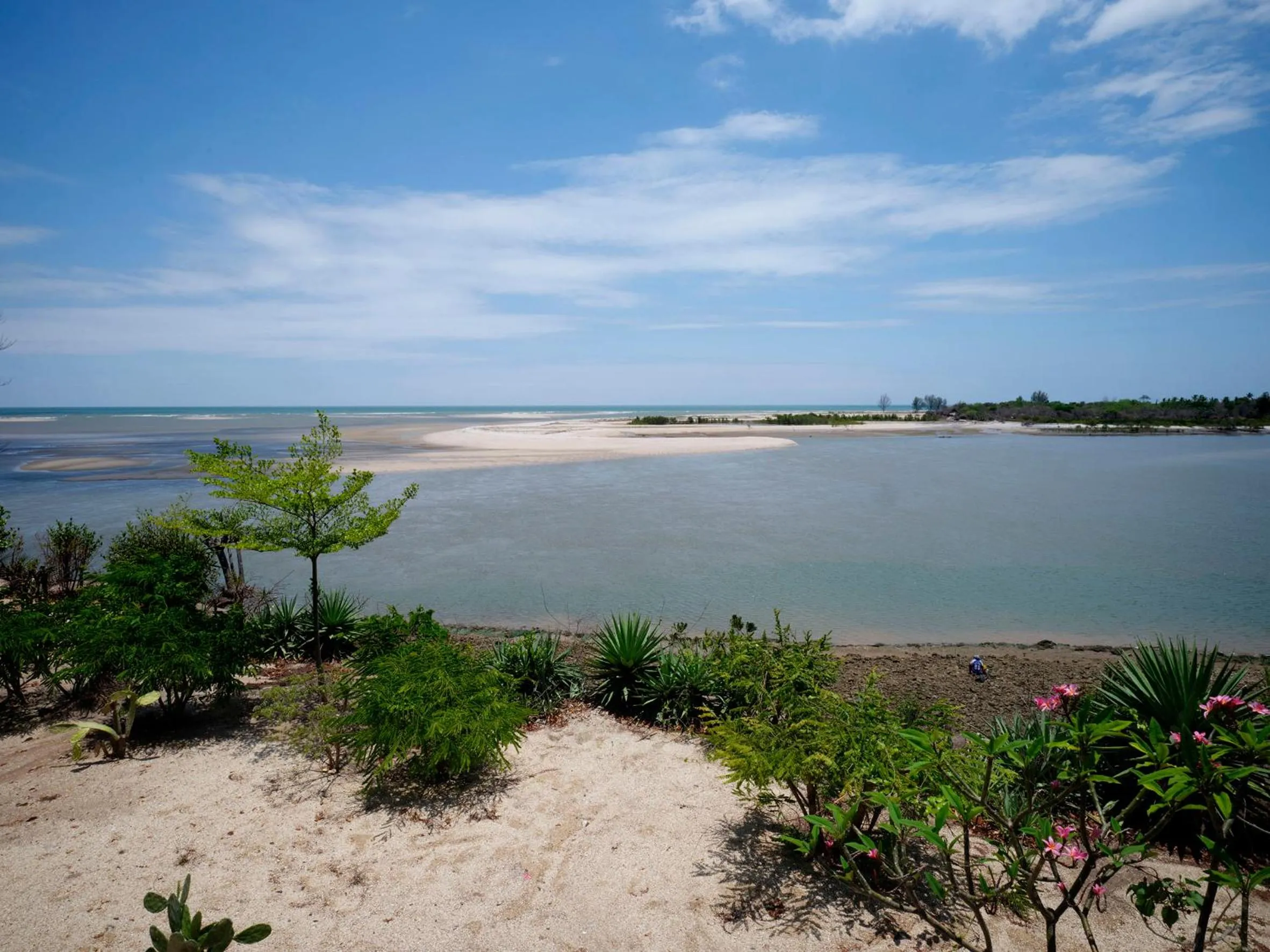 Natural landscape in Antsanitia Resort