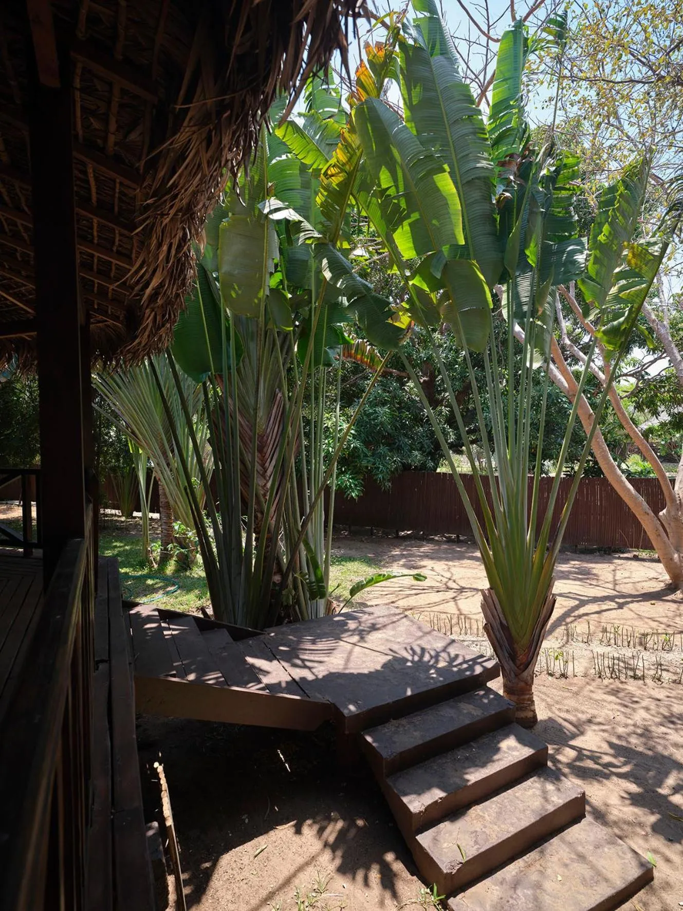 Garden view in Antsanitia Resort