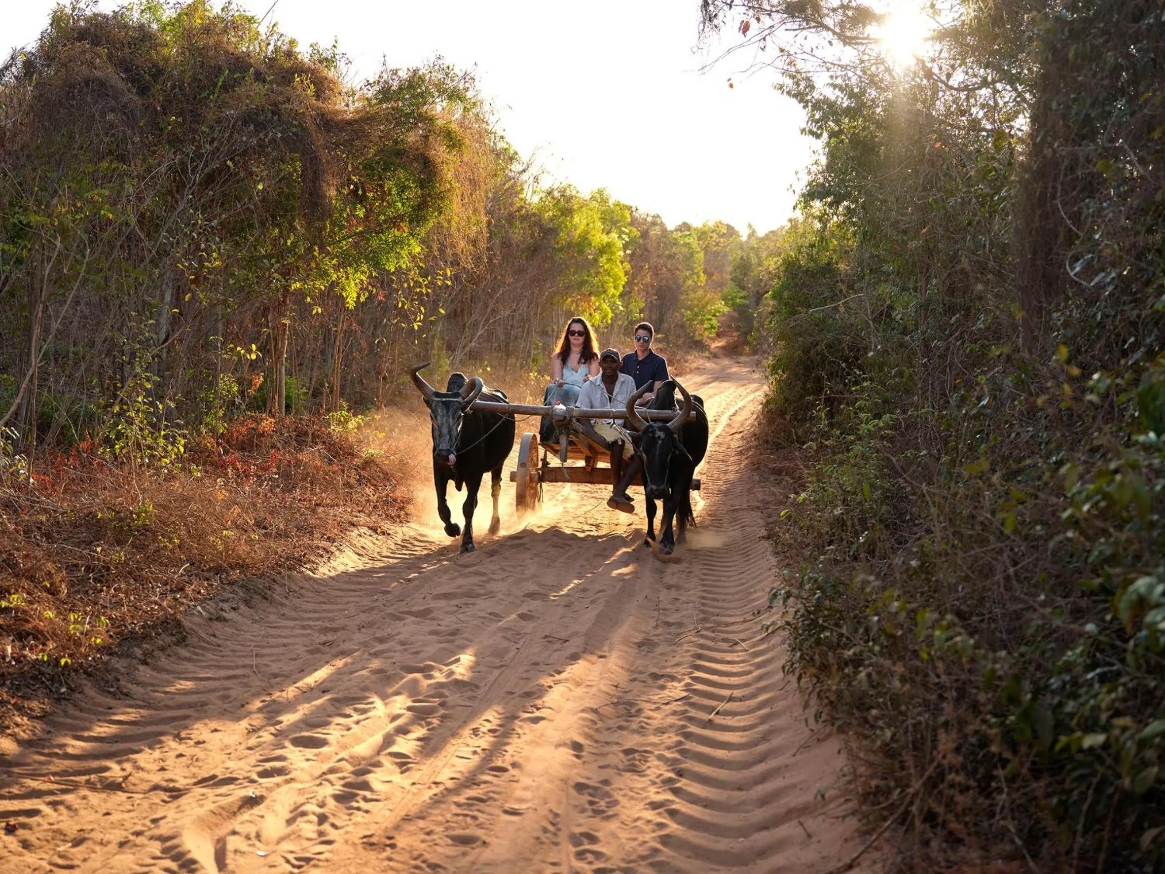Natural landscape in Antsanitia Resort