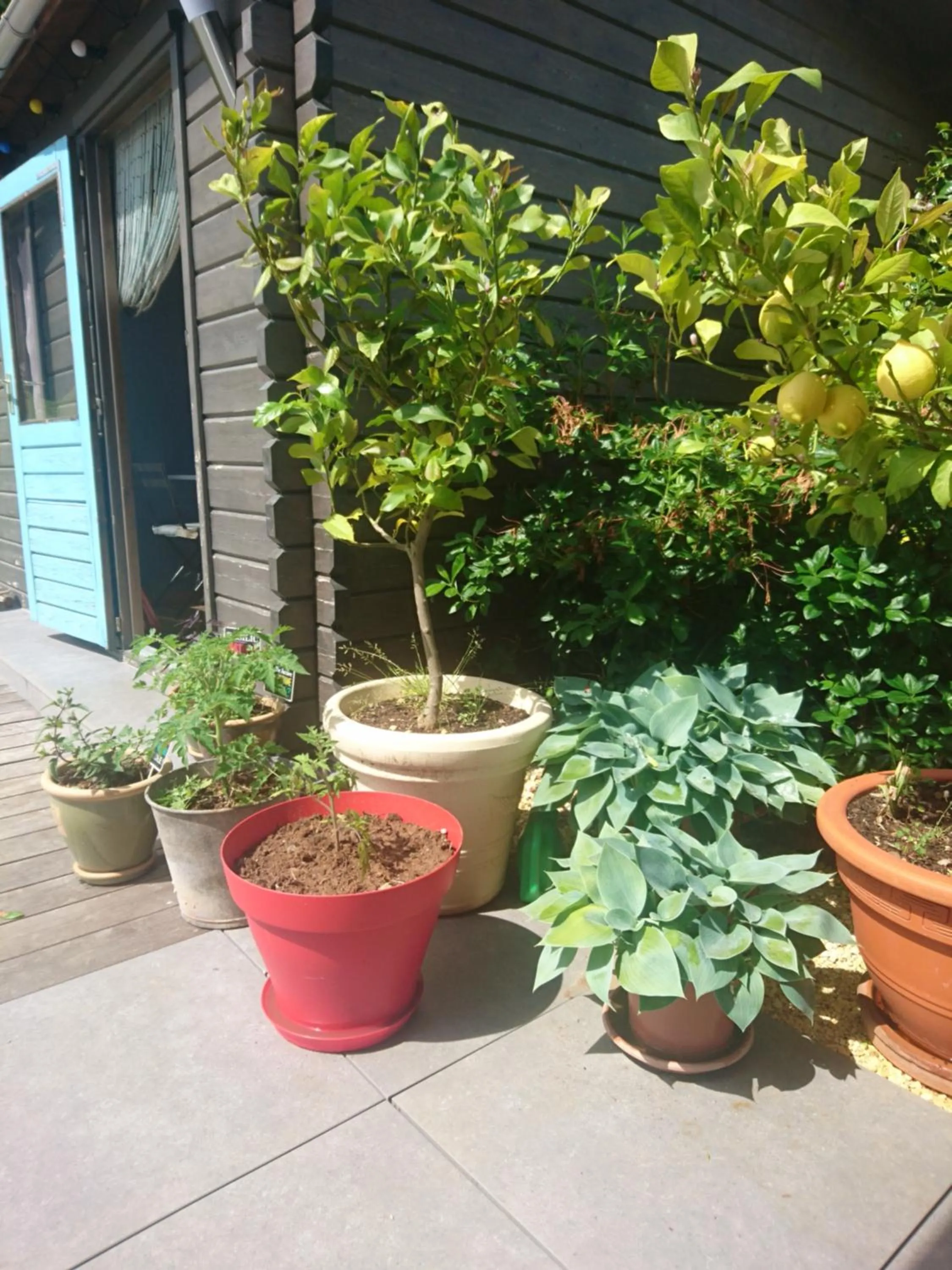 Chambre d'Hôtes Les Bruyères