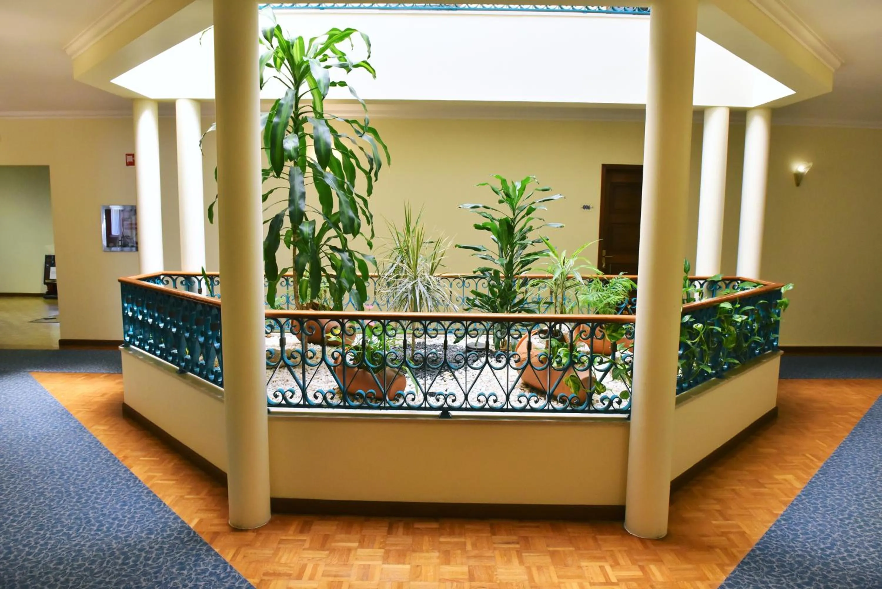 Garden in Hotel Aeroporto