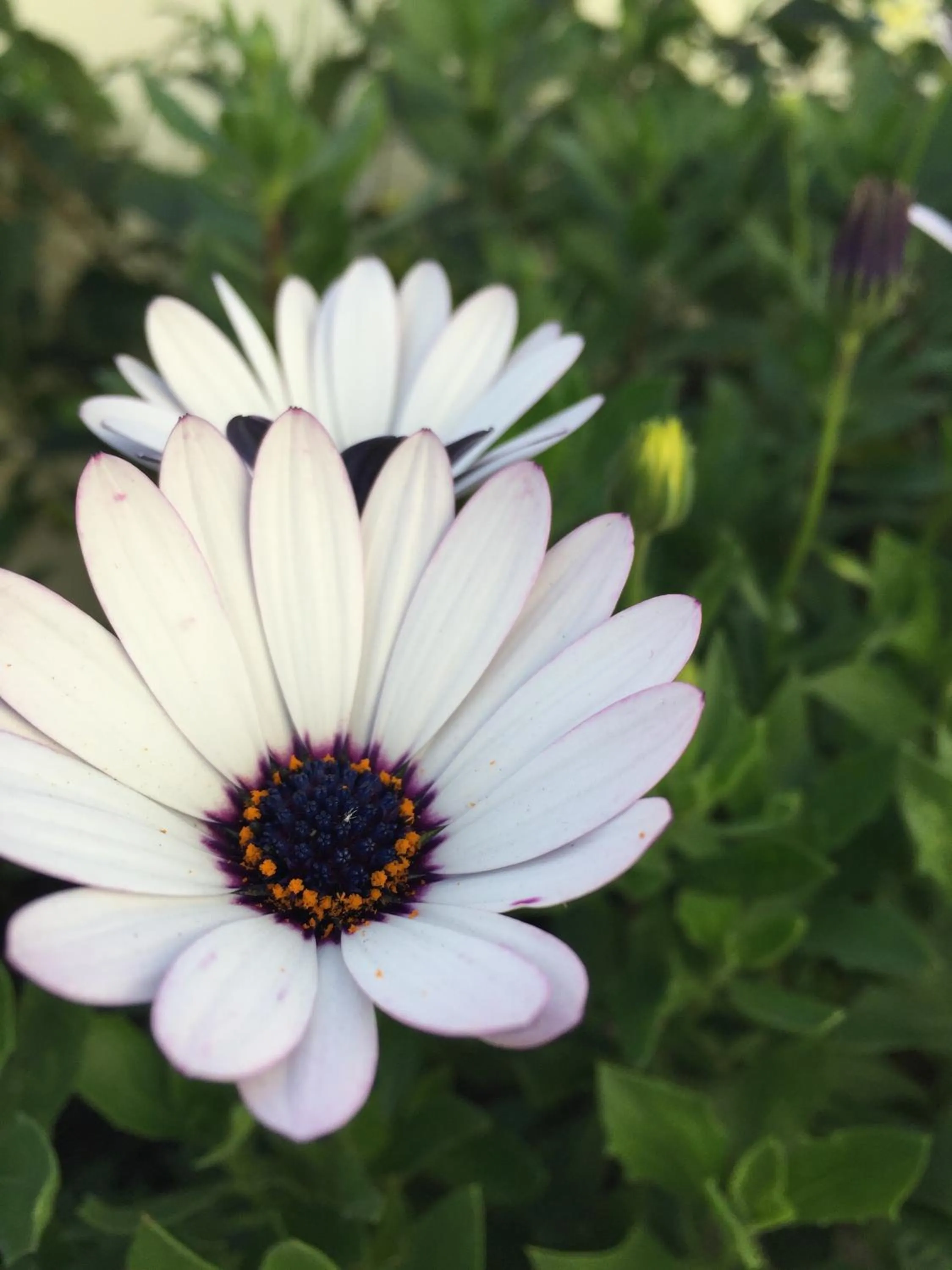 Other in Hotel Aeroporto