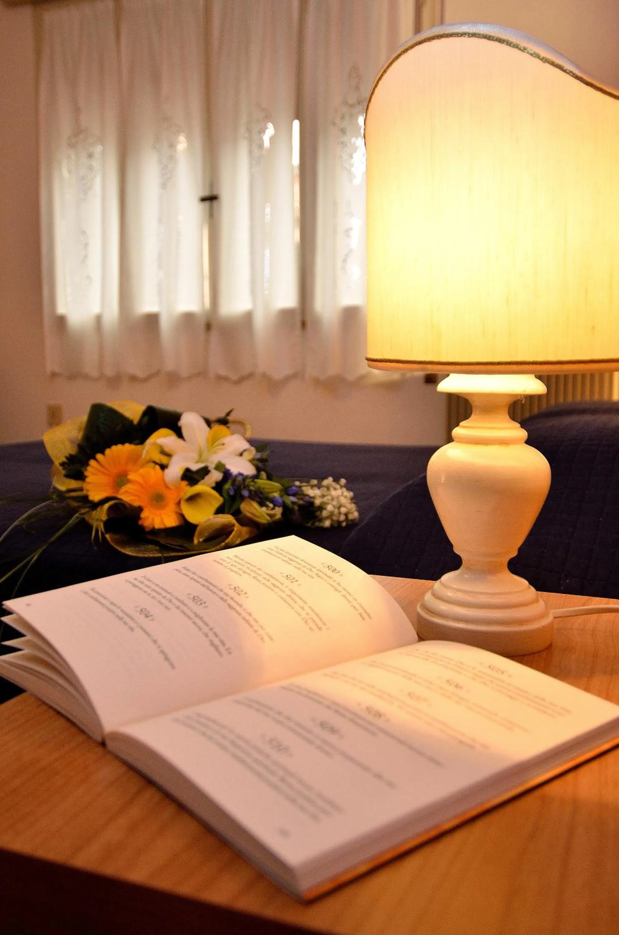 Other in Hotel Amba Alagi