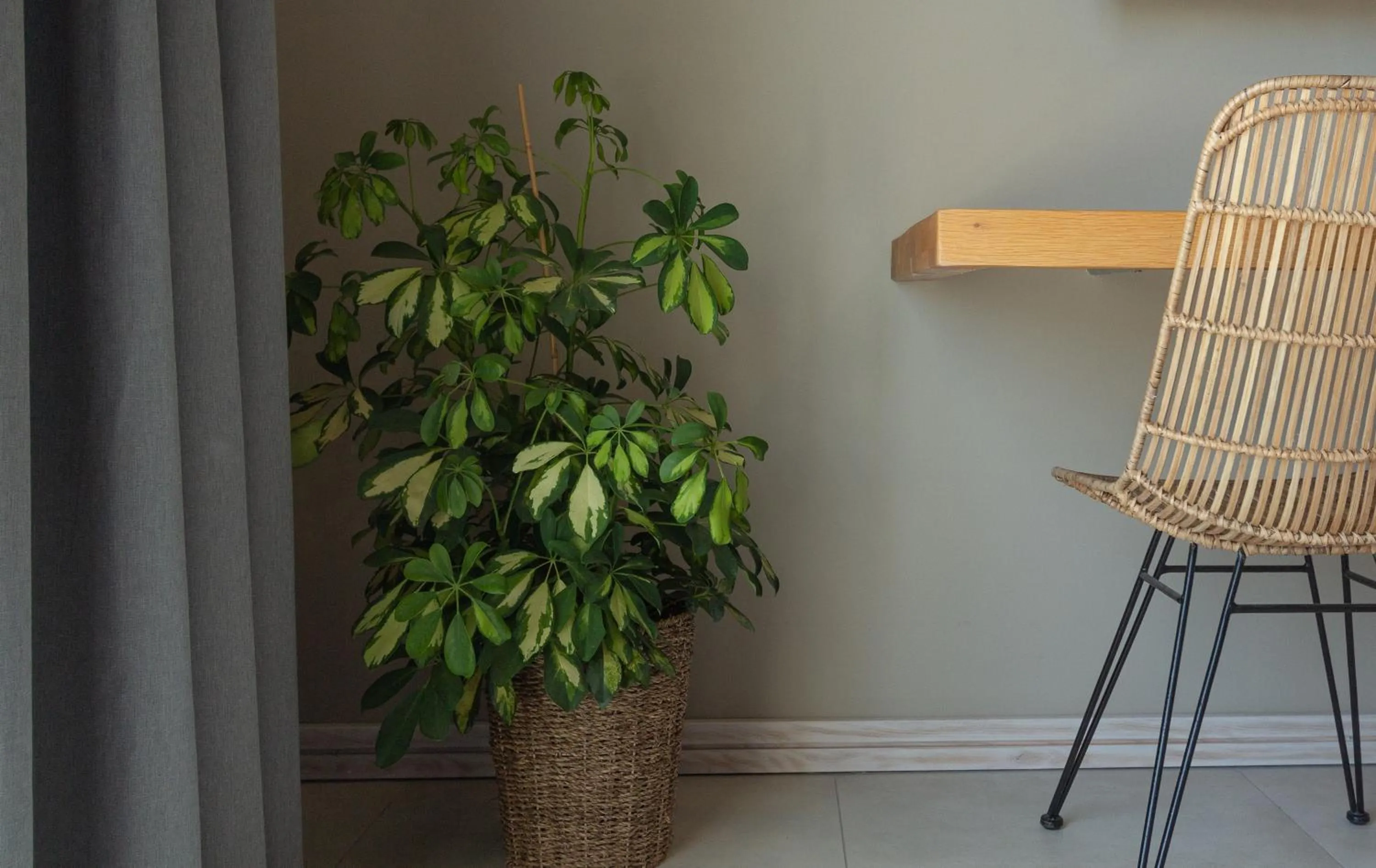 Decorative detail in Villa dei Venti