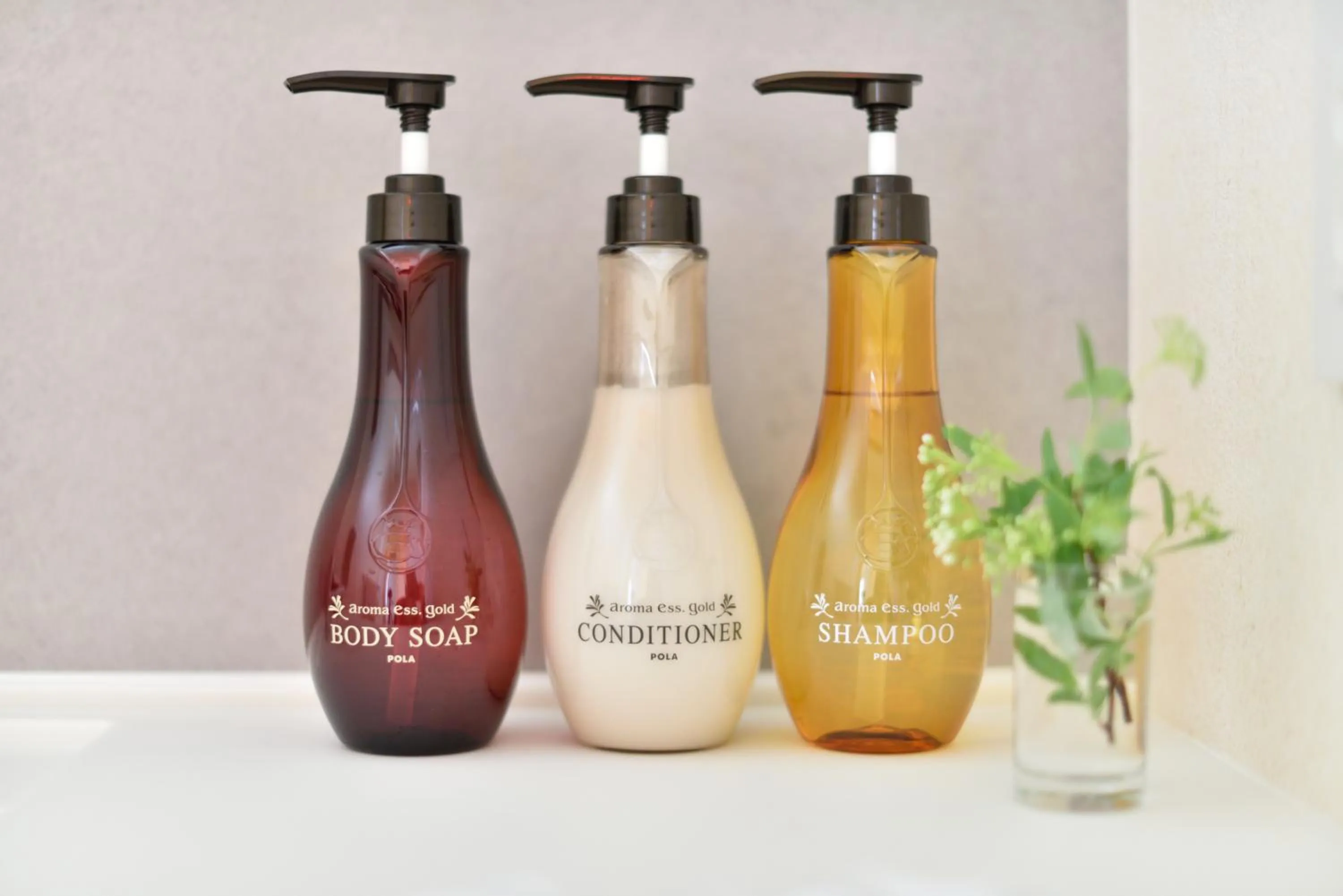 Area and facilities in ShukuShuku