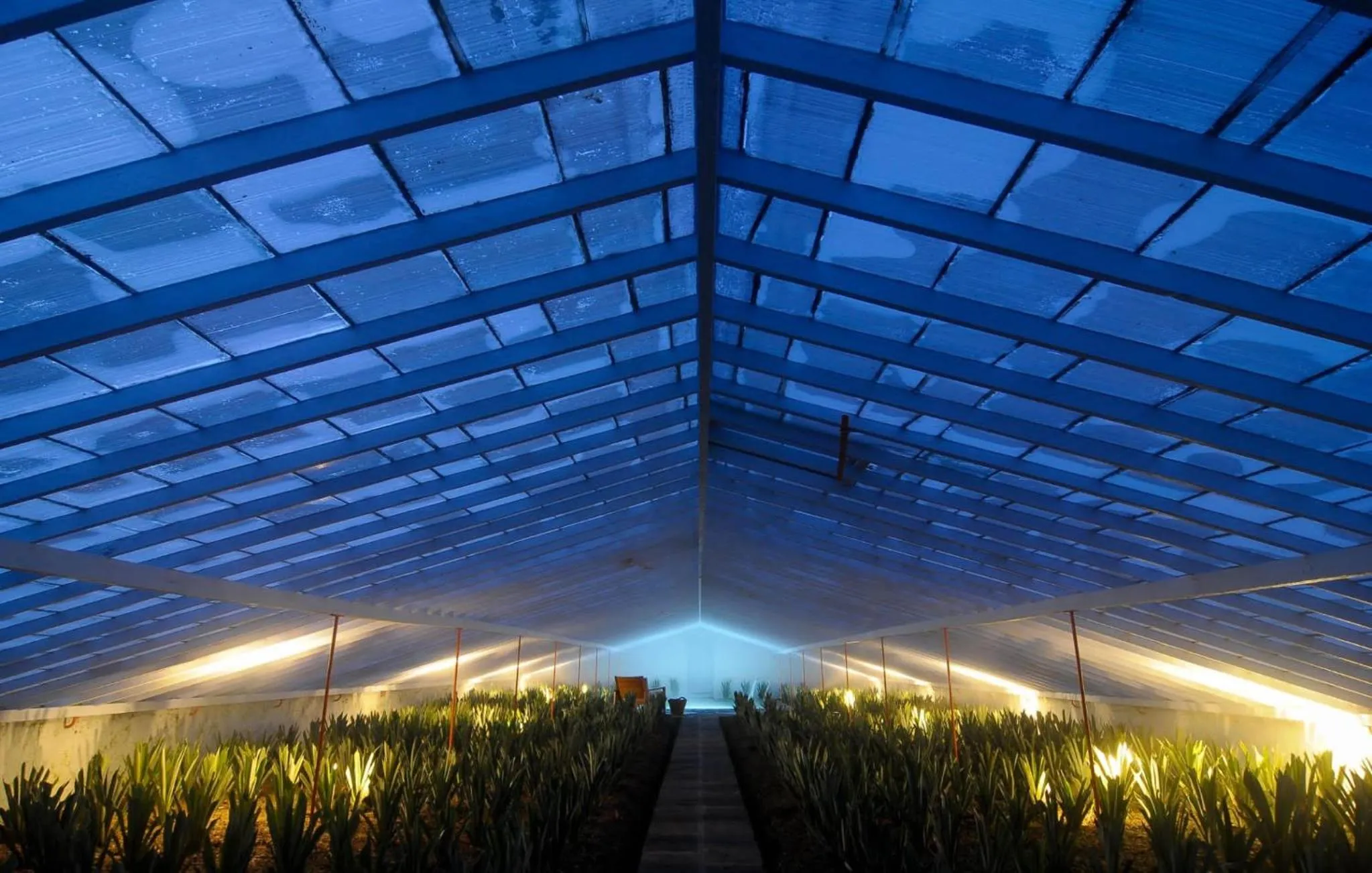 Swimming pool in Herdade do Ananás