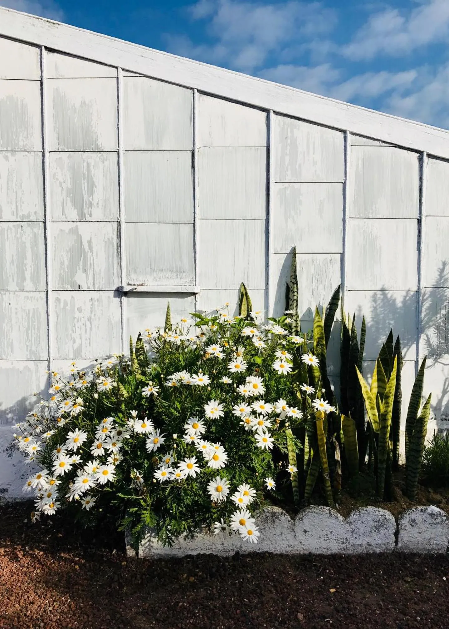 Property building in Herdade do Ananás